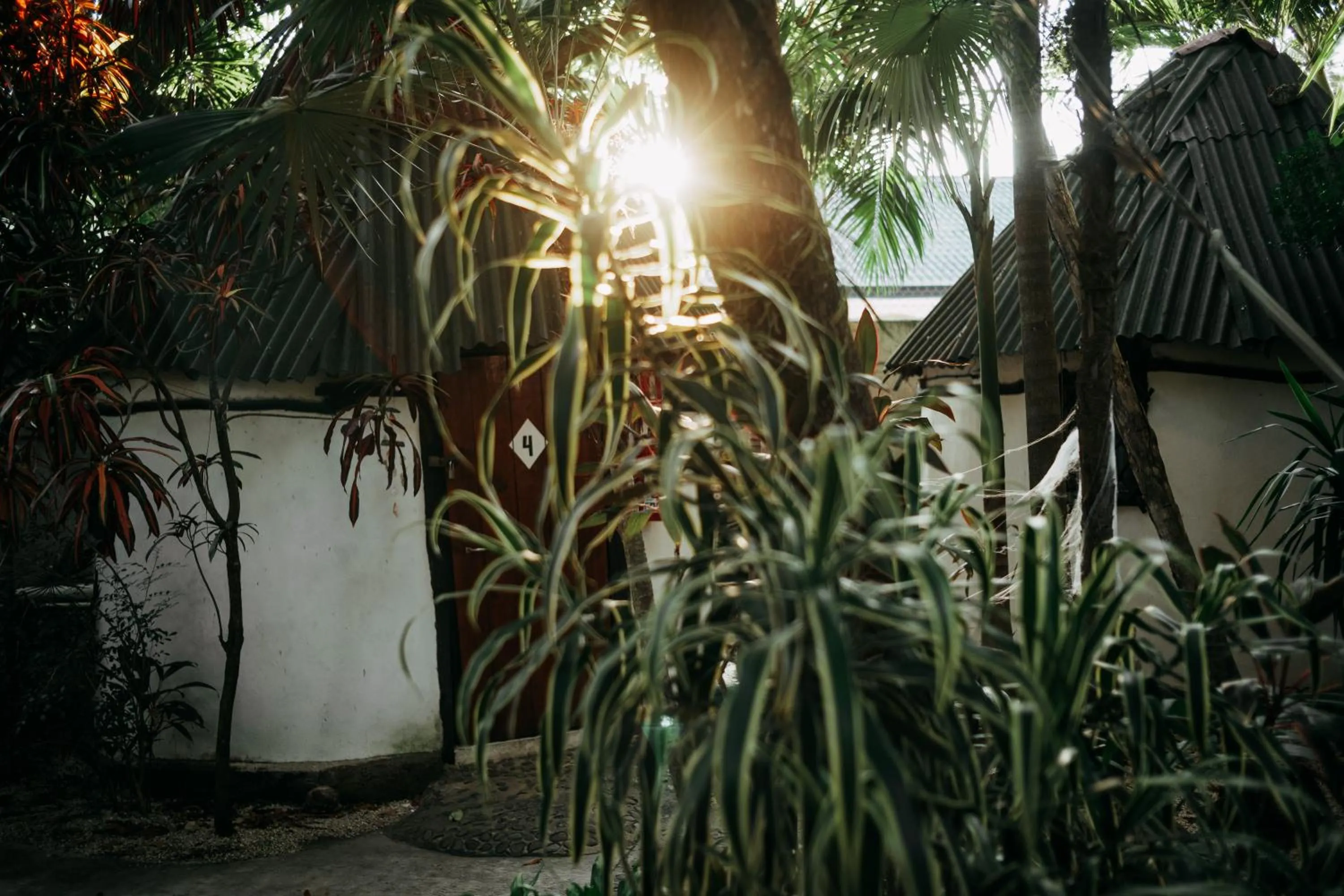 Garden view in Hostel Oryx Tulum