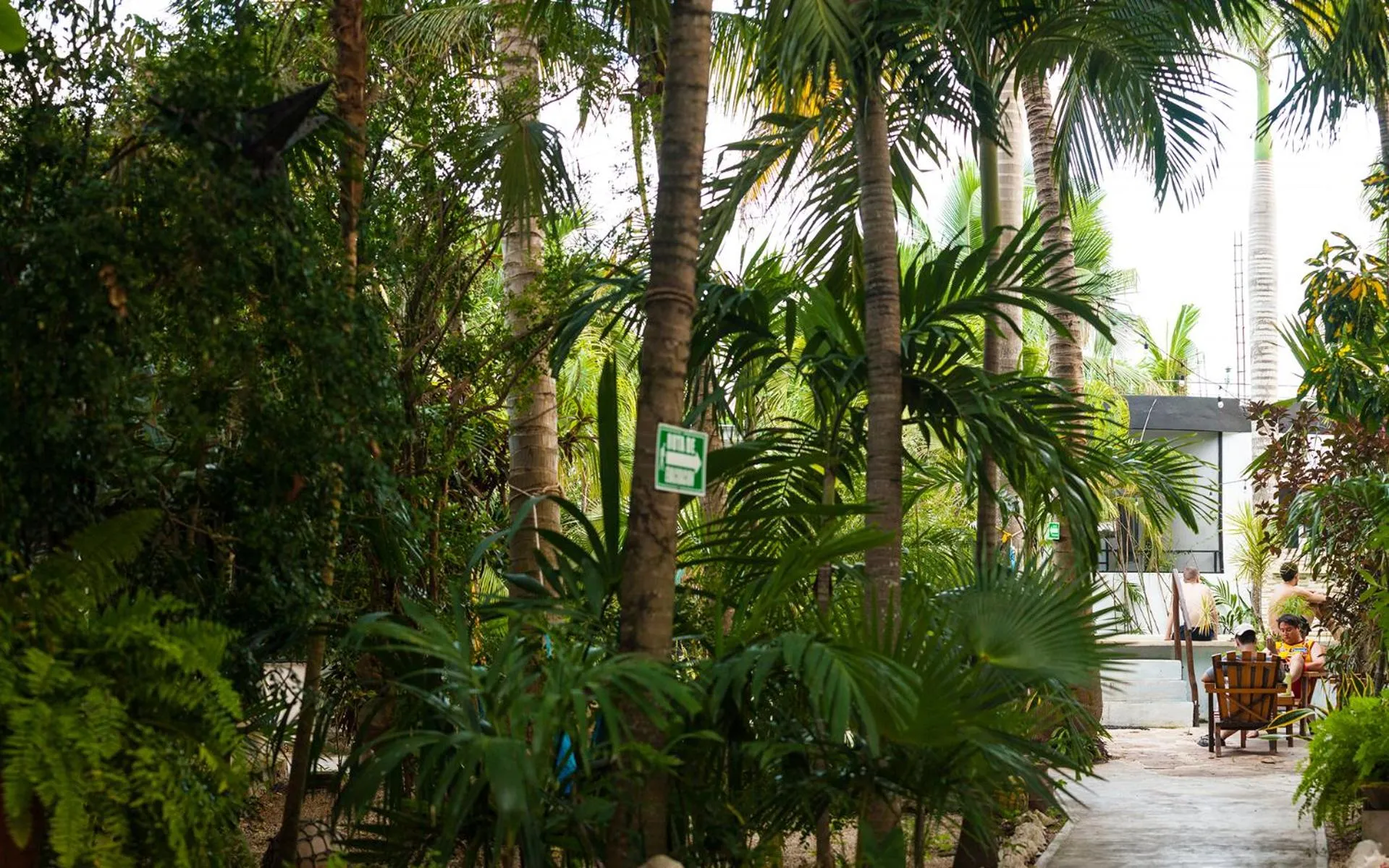 Garden in Hostel Oryx Tulum