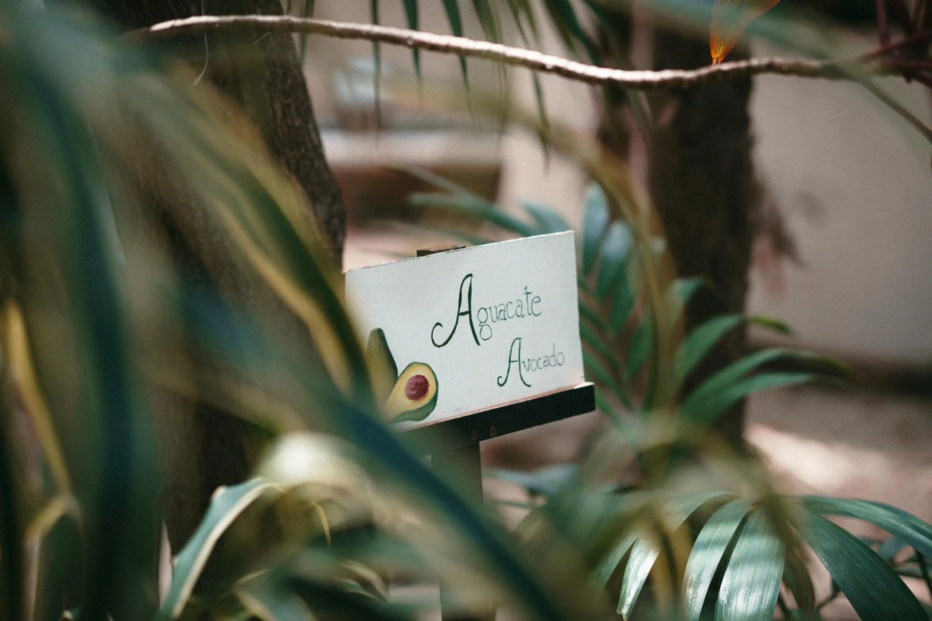 Patio in Hostel Oryx Tulum