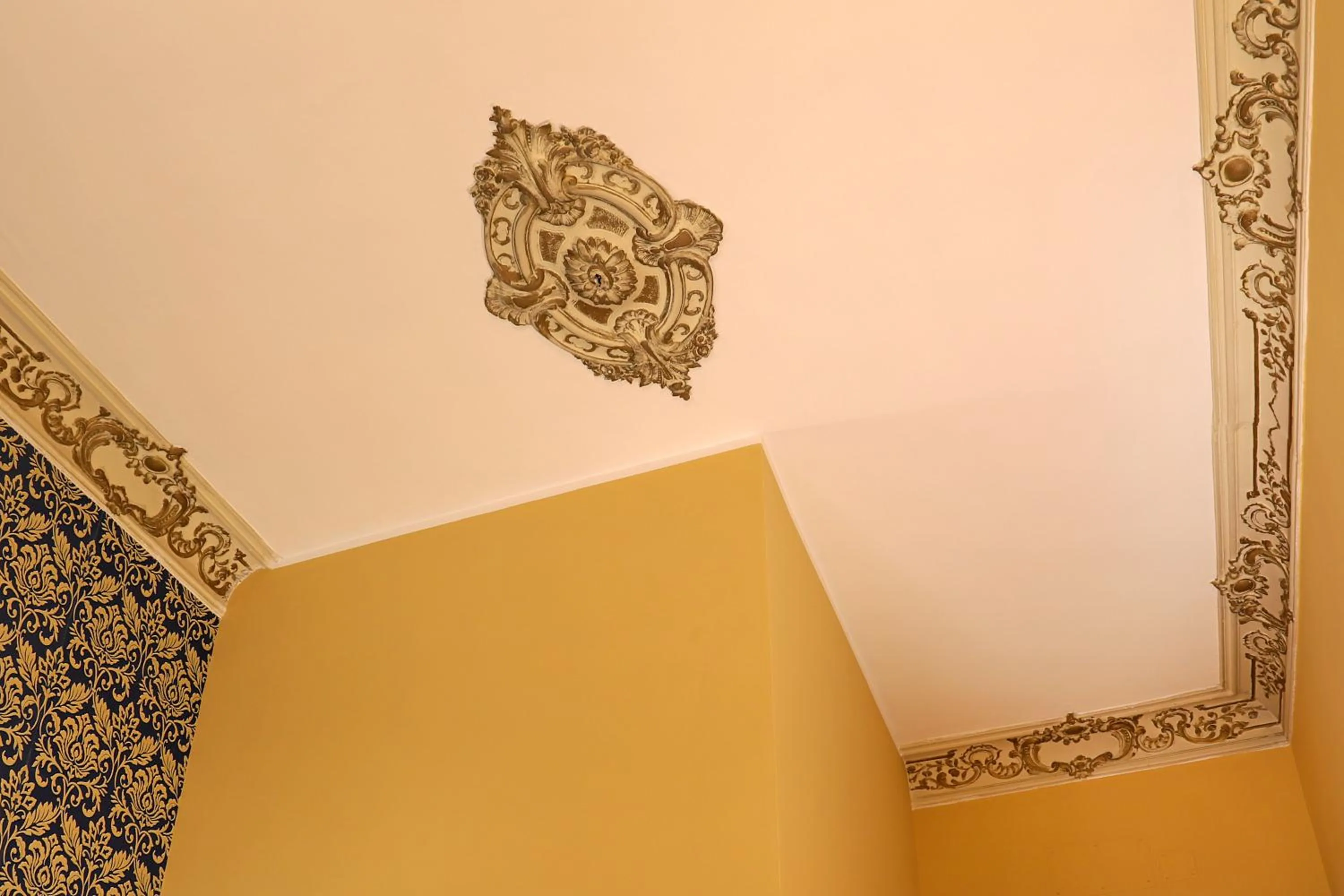 Decorative detail in DG Prestige Room