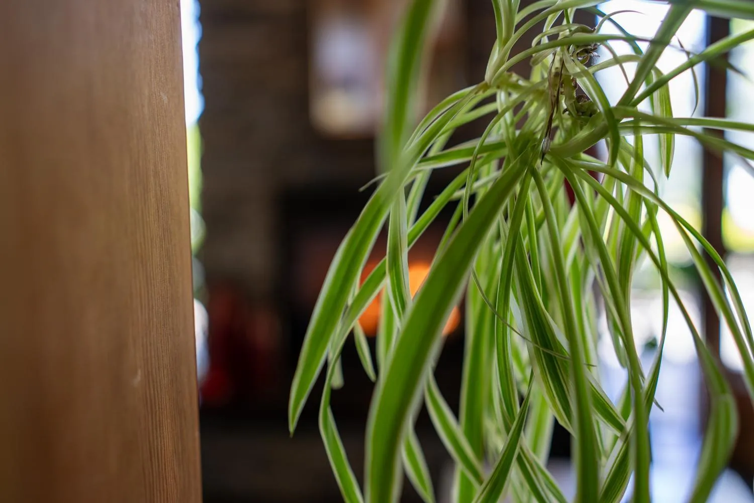 Decorative detail in Oswego Hotel