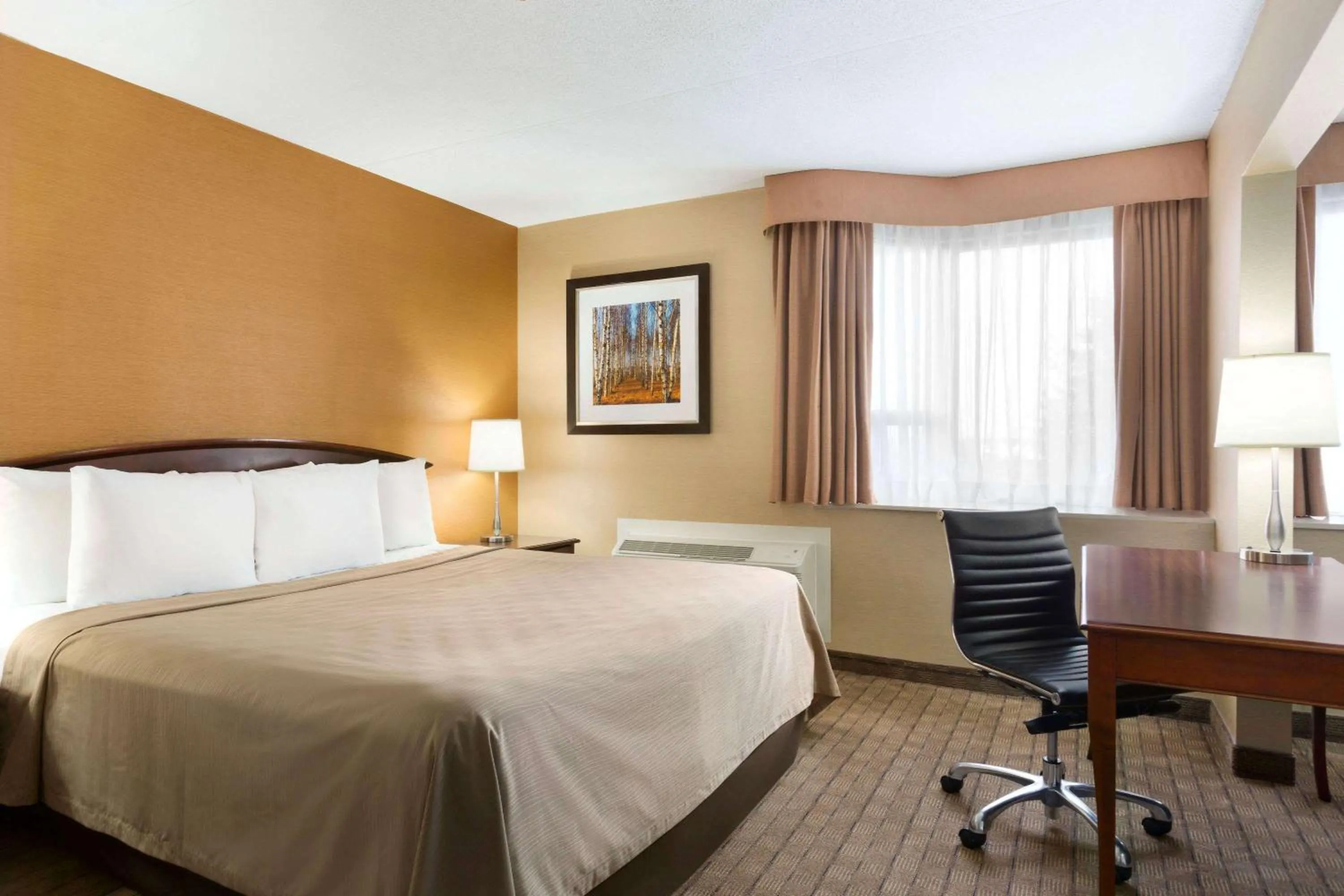 Photo of the whole room in Travelodge by Wyndham Toronto East
