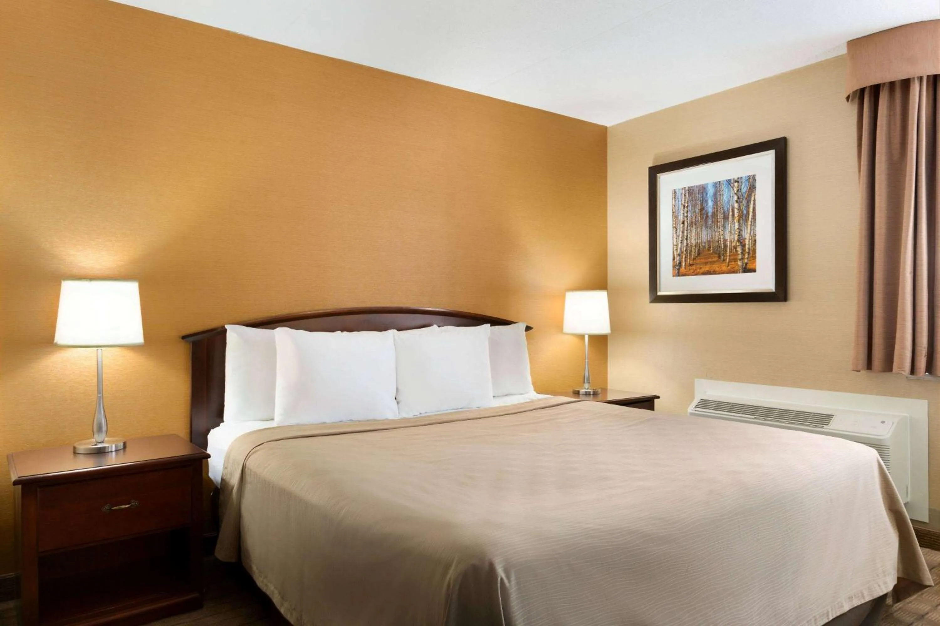 Photo of the whole room in Travelodge by Wyndham Toronto East