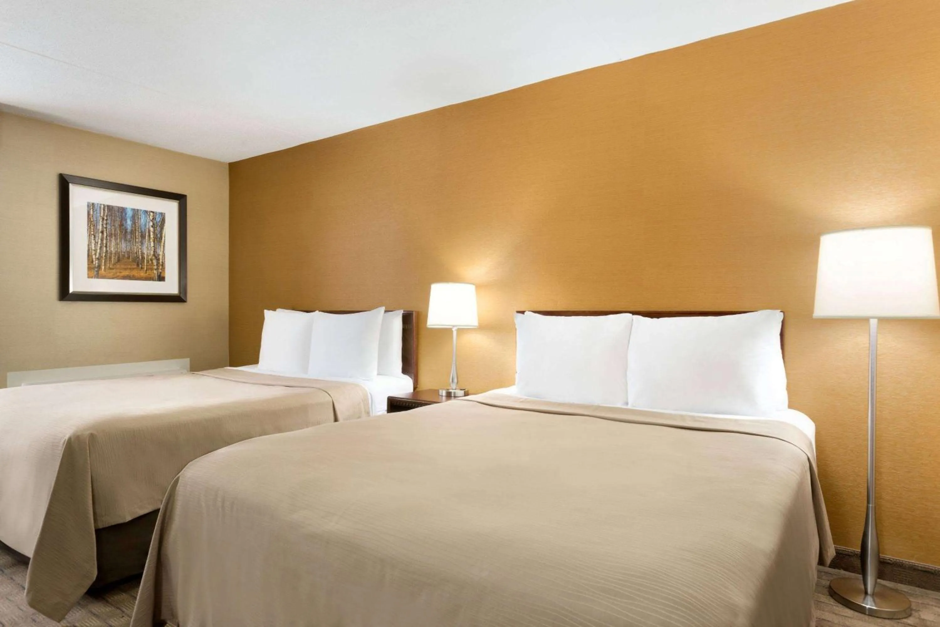 Photo of the whole room in Travelodge by Wyndham Toronto East