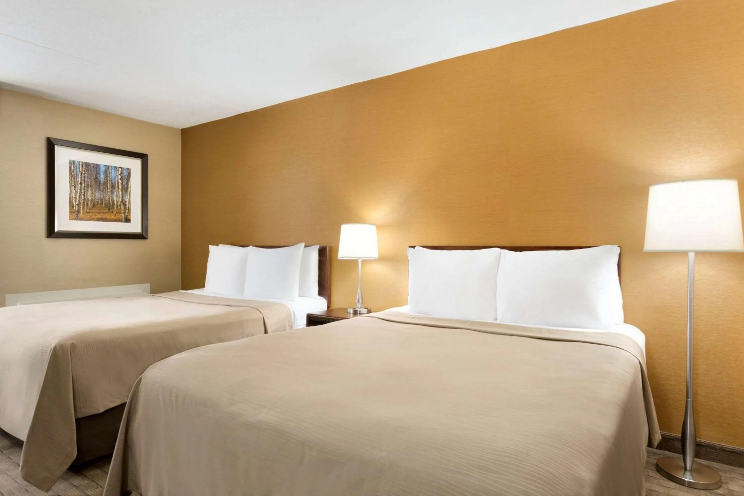 Photo of the whole room in Travelodge by Wyndham Toronto East