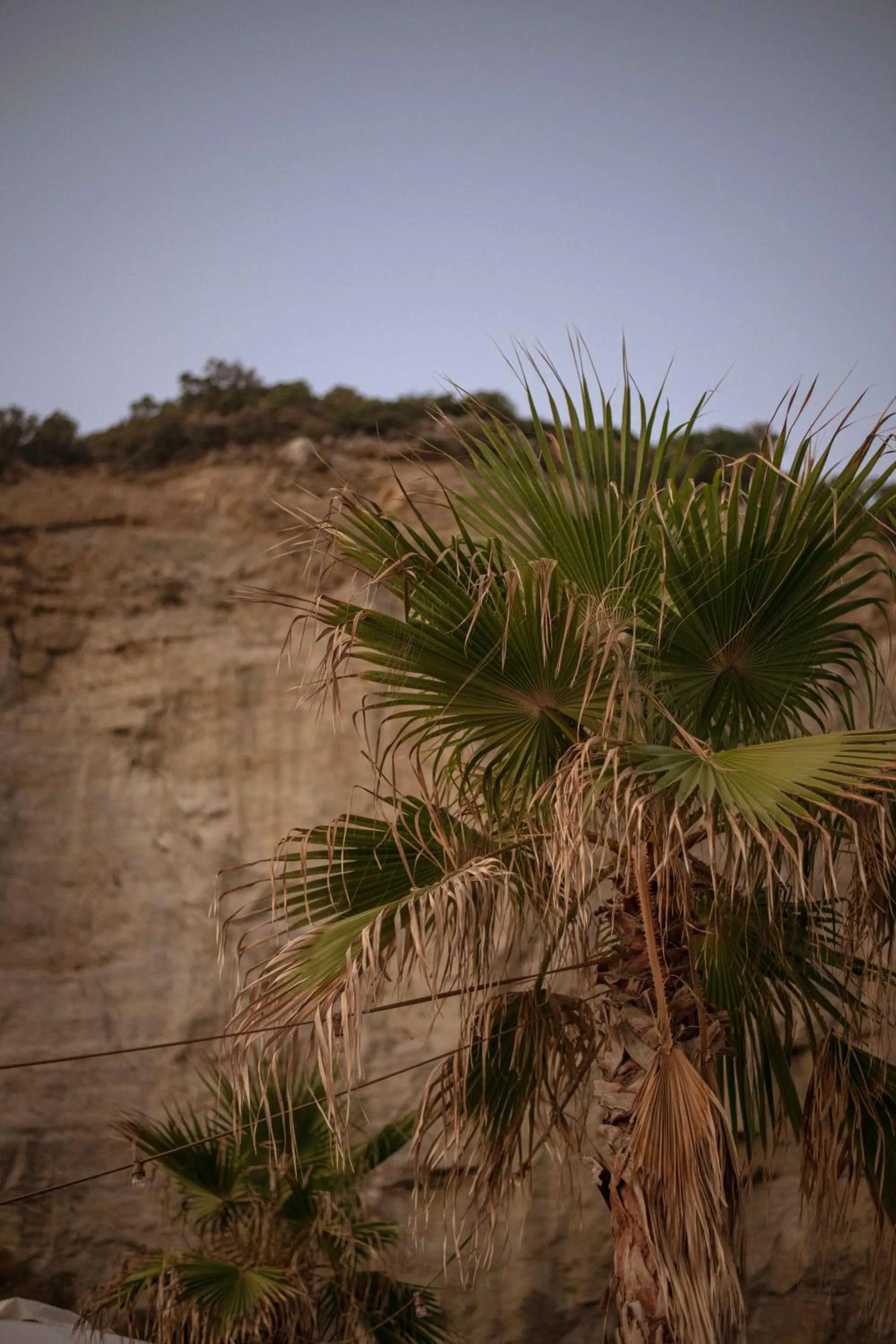 Natural landscape in Maya Beach Resort