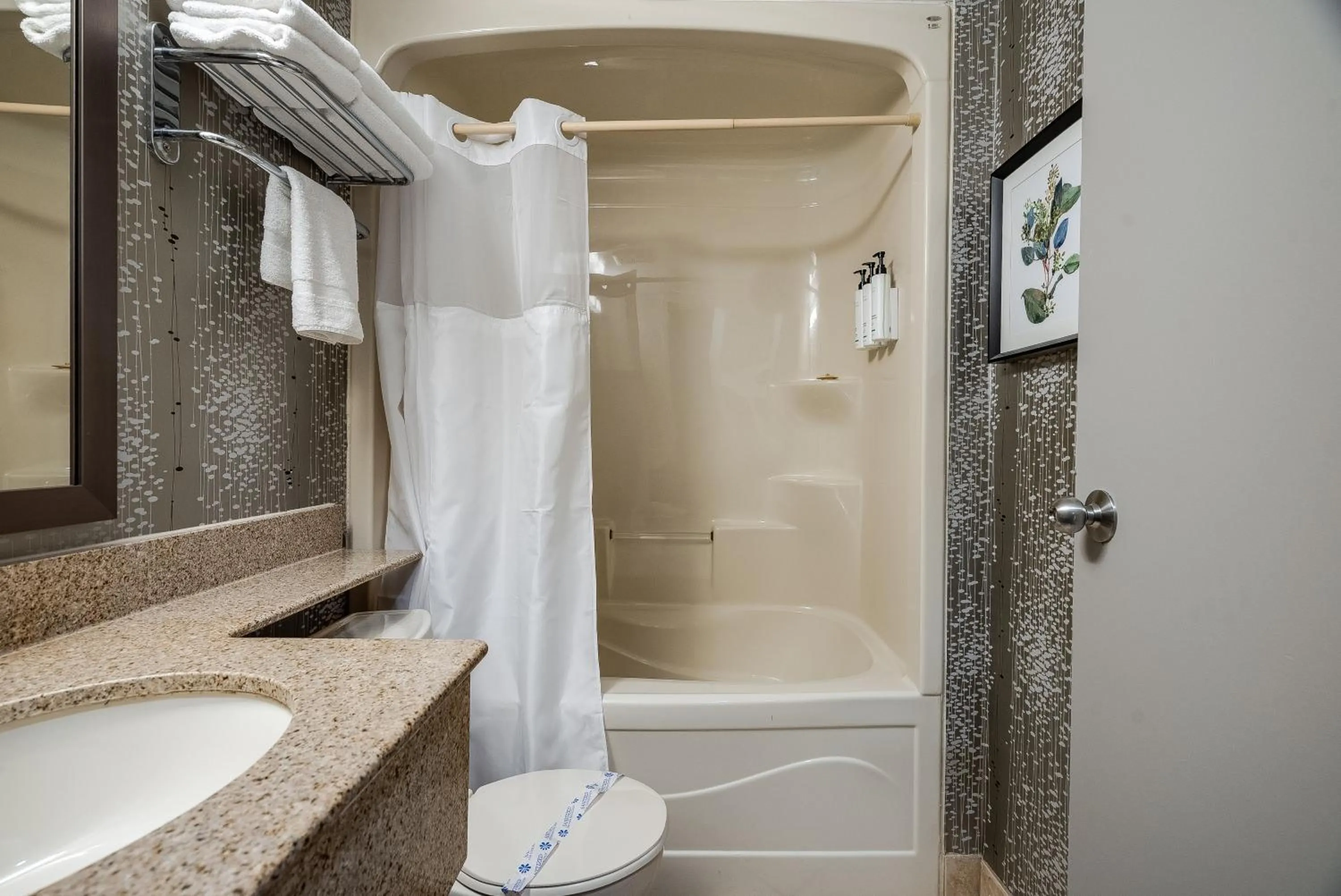 Shower in Monte Carlo Inn Toronto West Suites