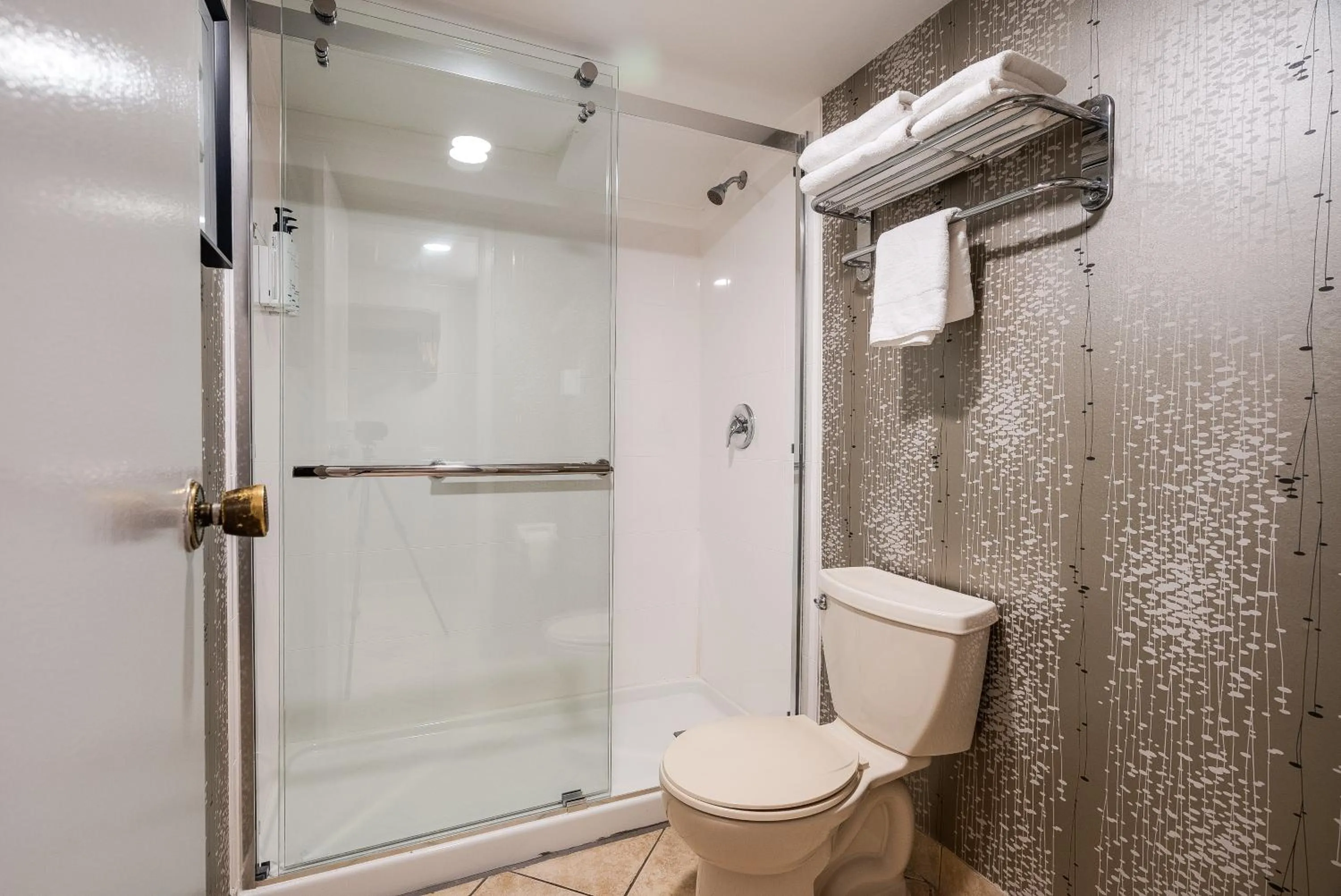 Shower in Monte Carlo Inn Toronto West Suites