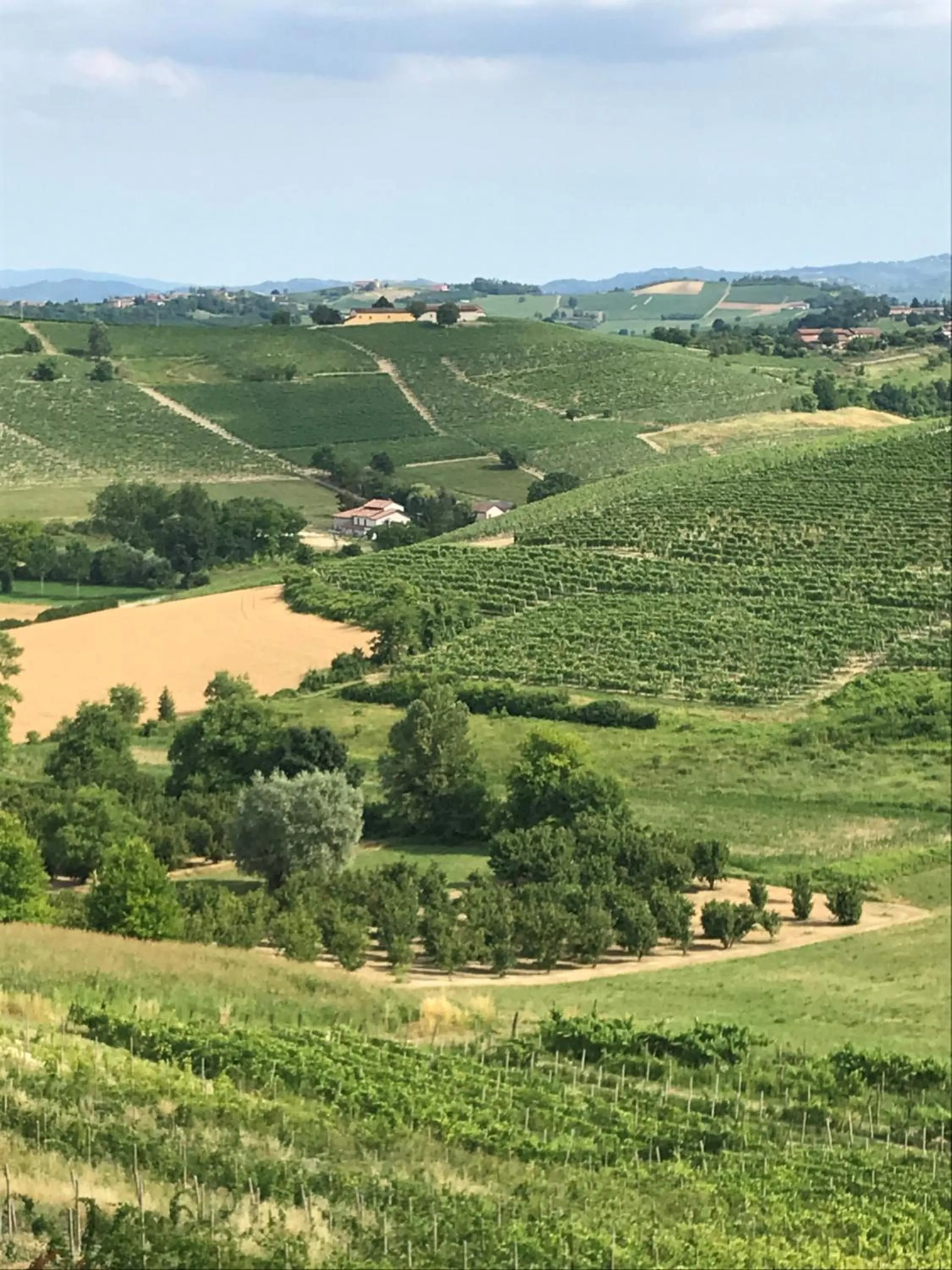 Neighbourhood in Sotto La Vigna Charm Stay Adults only vacation Bed and breakfast room