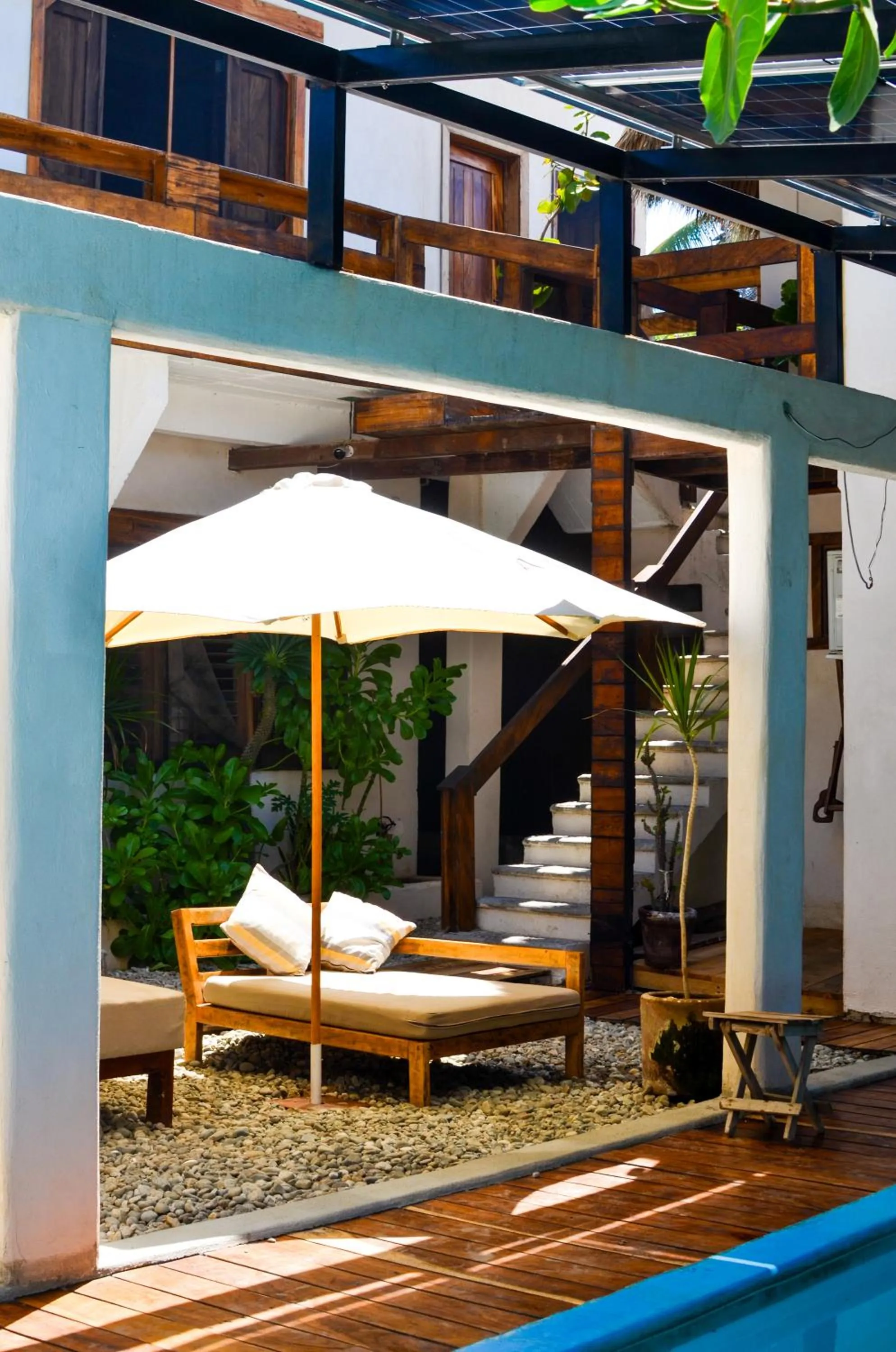 Garden in Casa playa del Amor