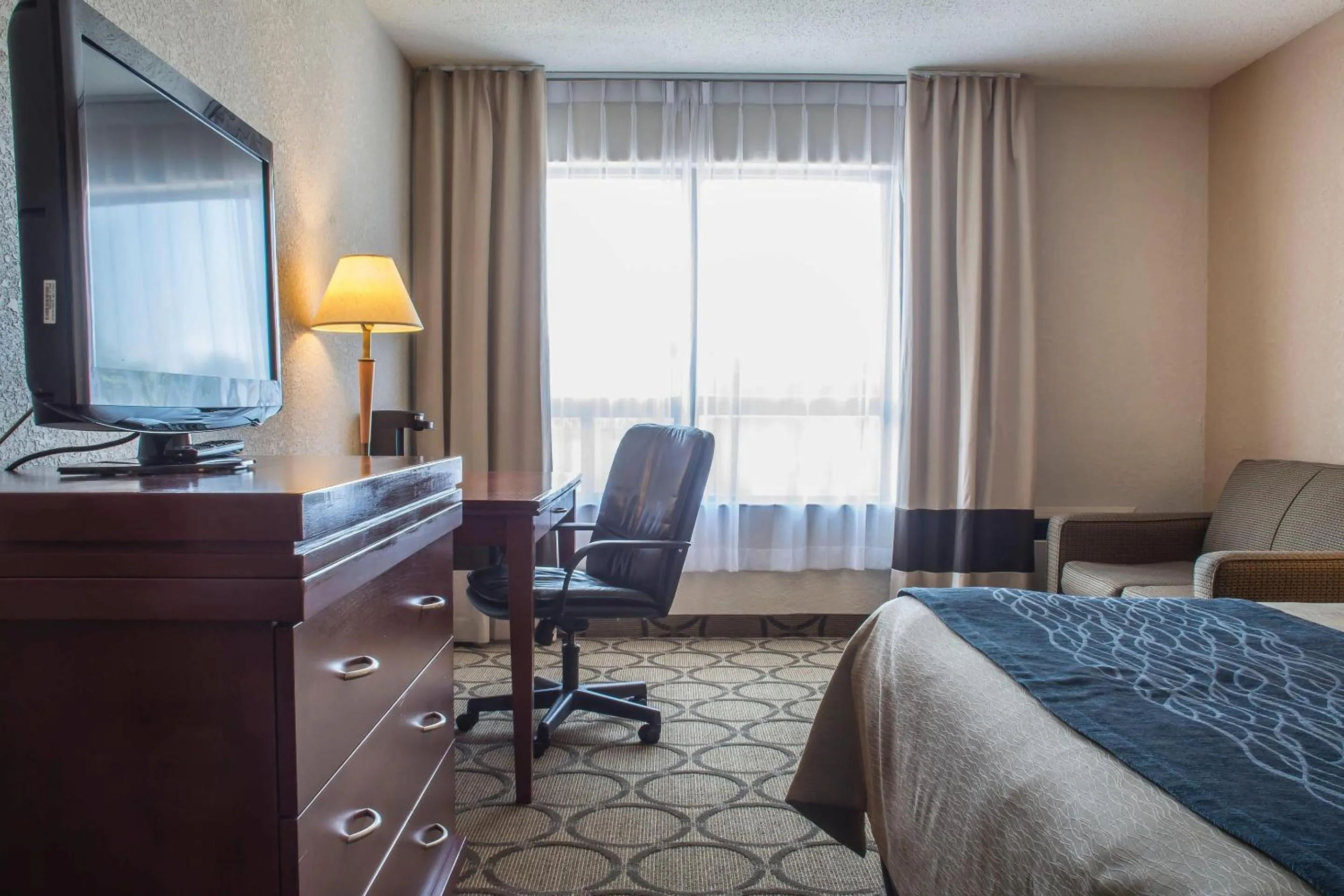 Bedroom, Bed in Comfort Inn