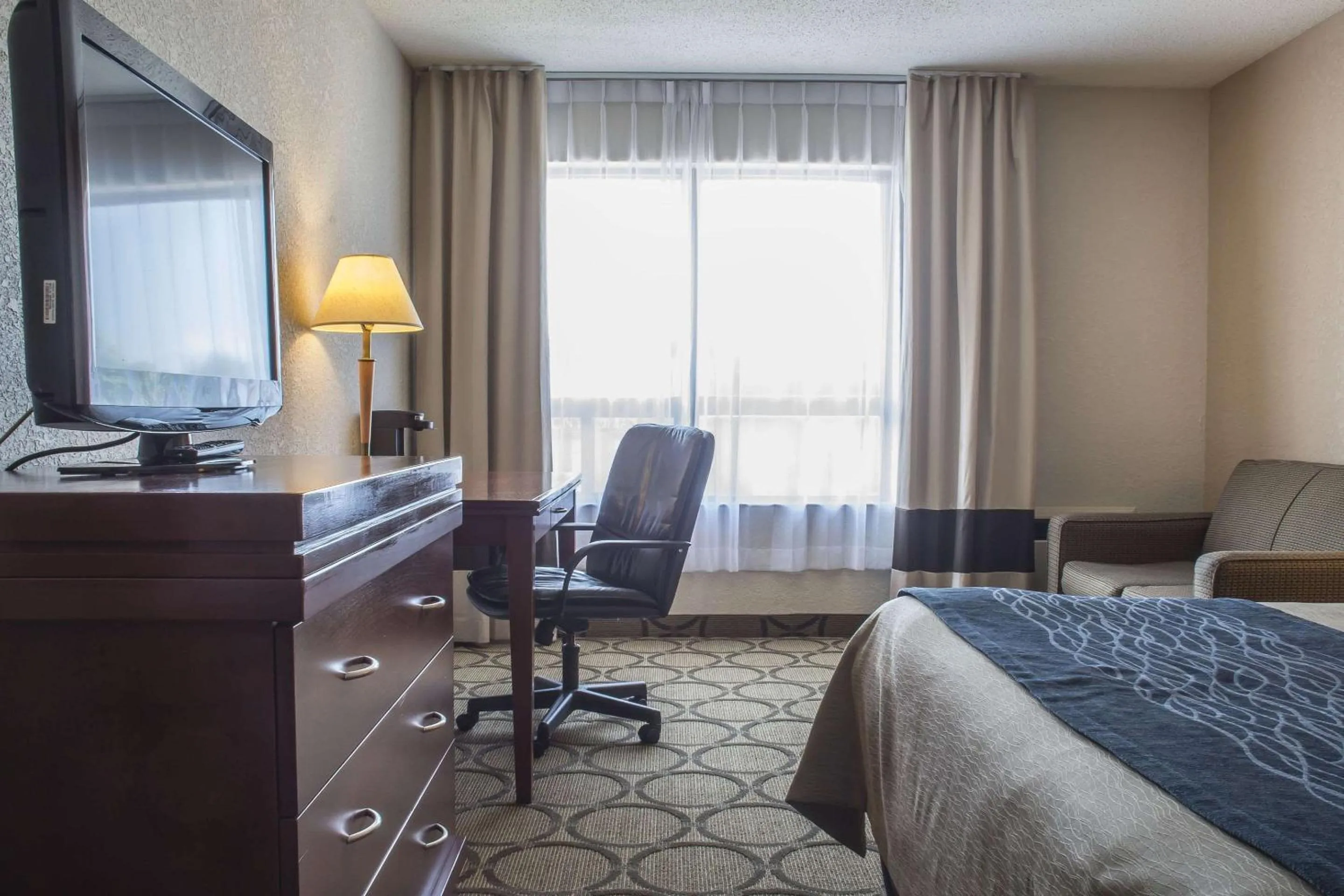 Photo of the whole room in Comfort Inn London - Ontario