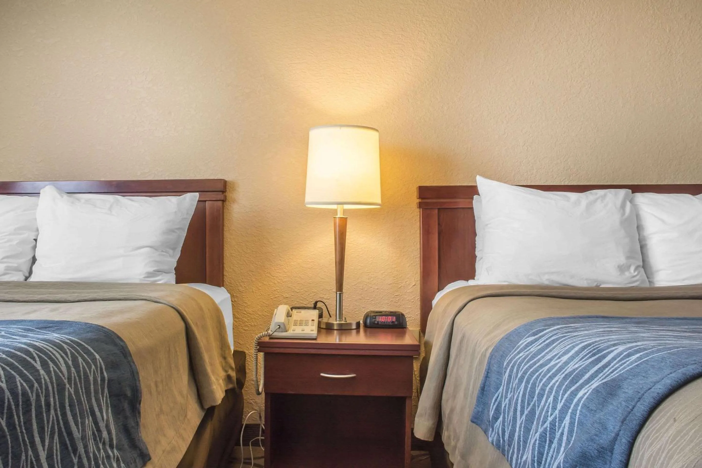 Photo of the whole room in Comfort Inn London - Ontario