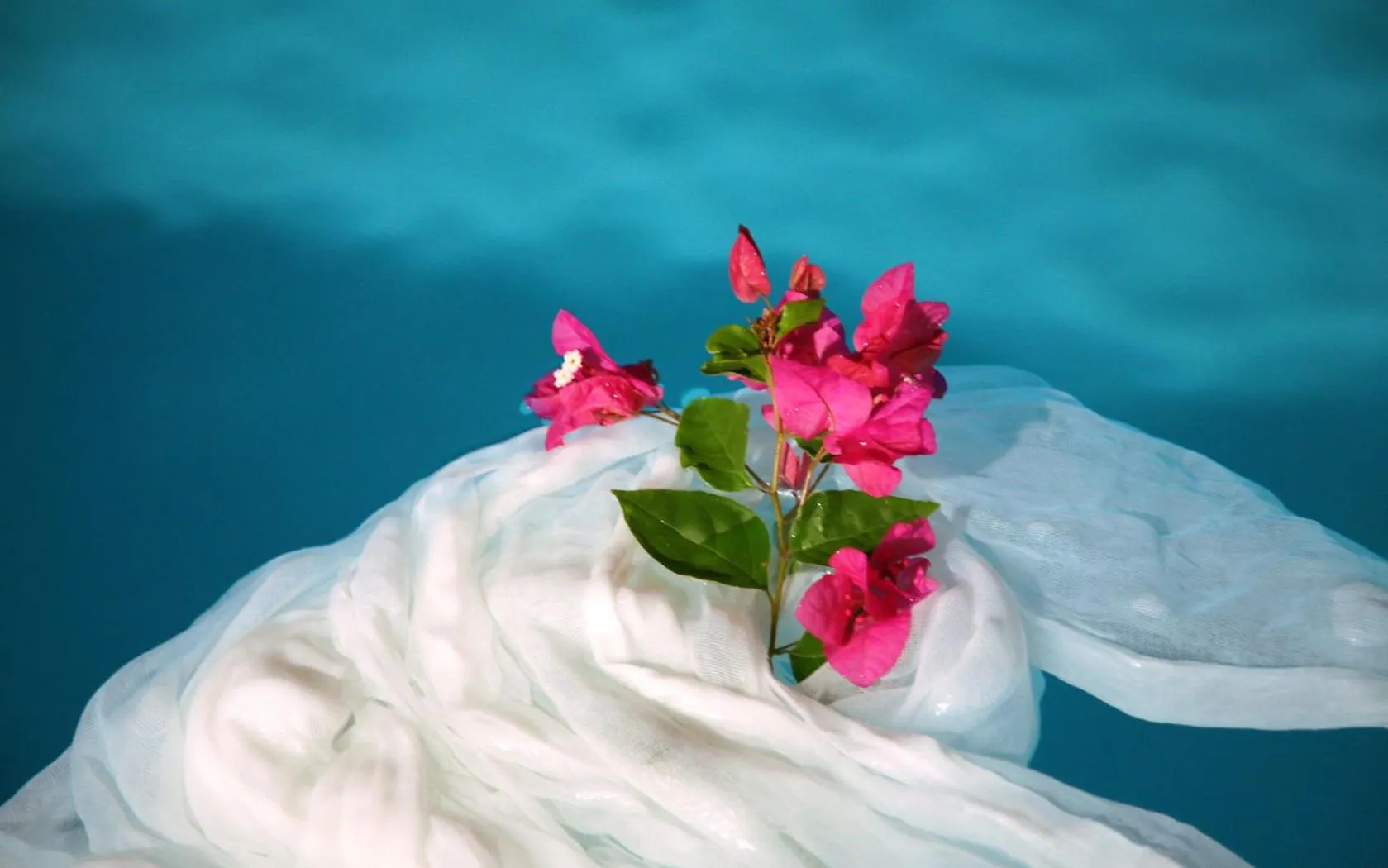 Sea paradise villas - Seaside & private jacuzzi