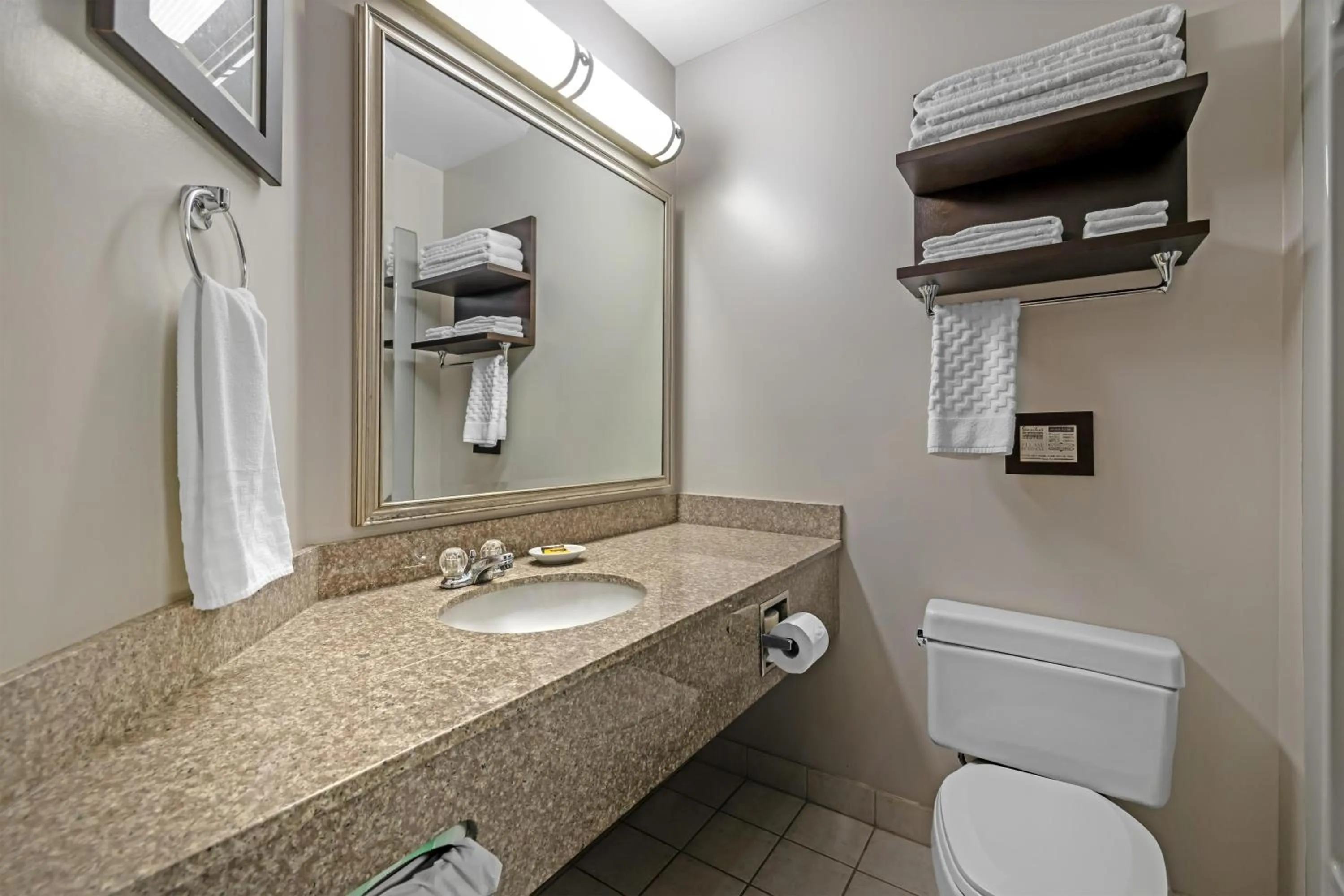 Bathroom in Best Western Plus Stoneridge Inn & Conference Centre London Ontario