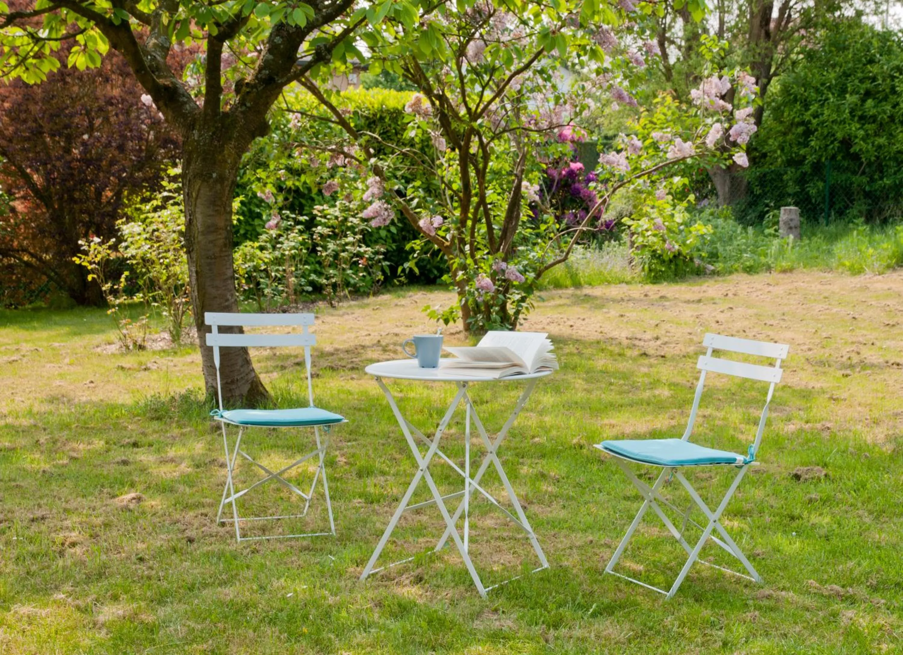 Garden in Wellintown Guest House
