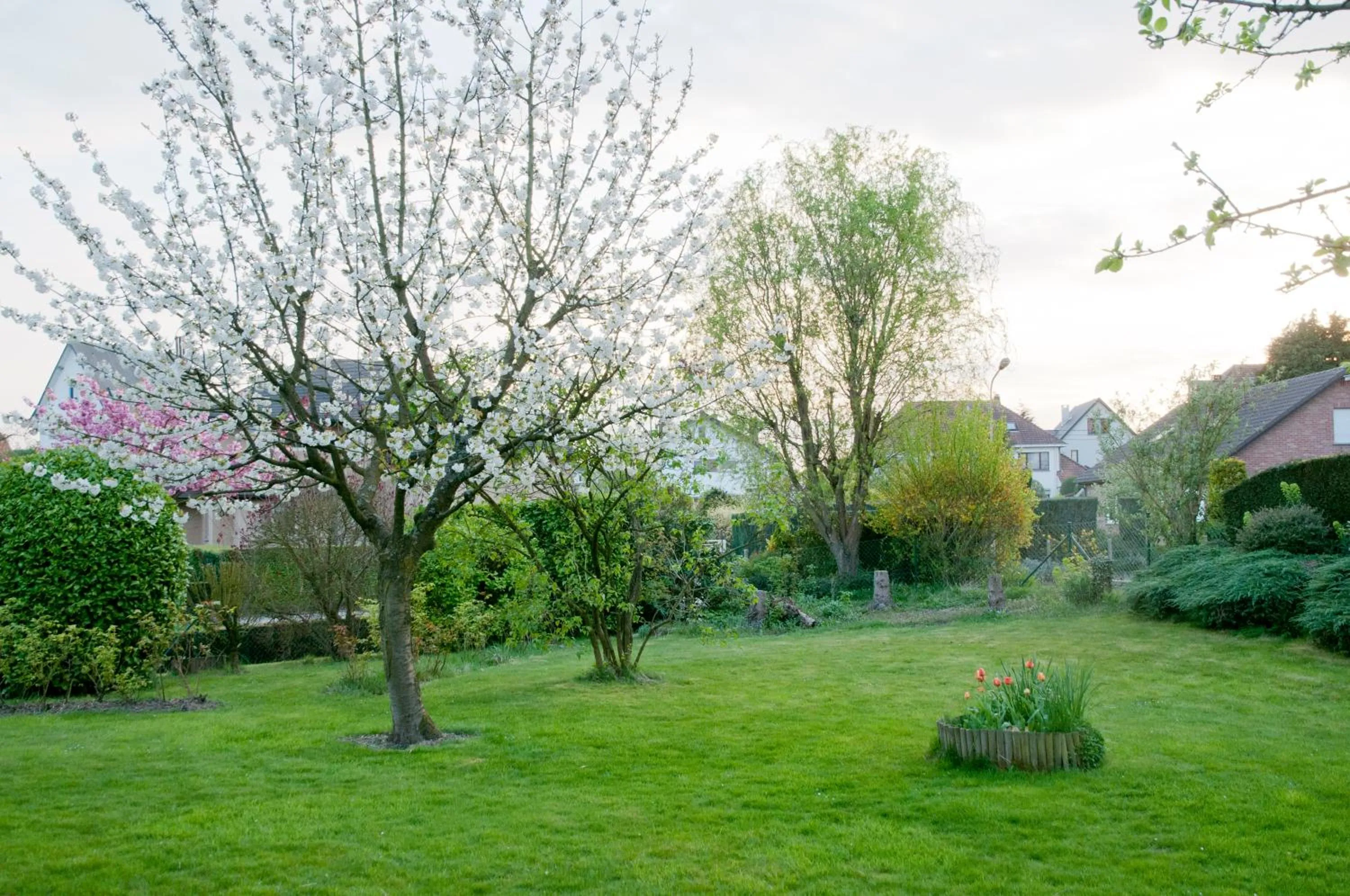 Garden in Wellintown Guest House