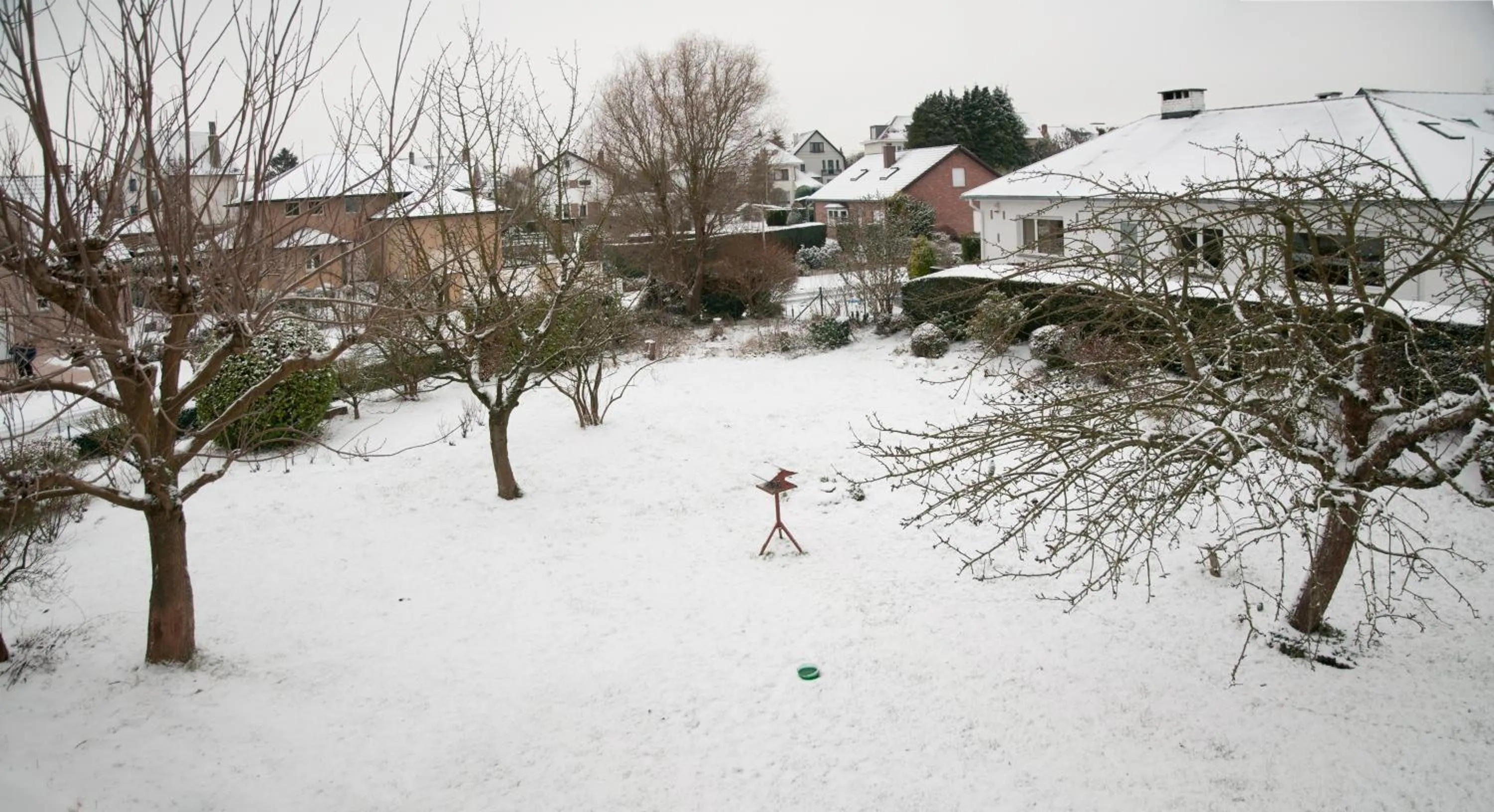 Garden view in Wellintown Guest House