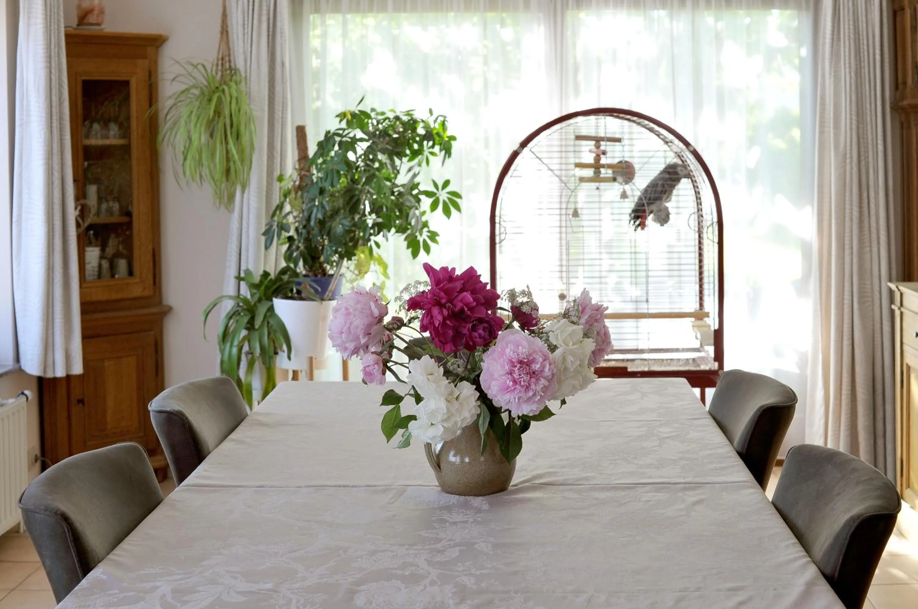 Dining area in Wellintown Guest House