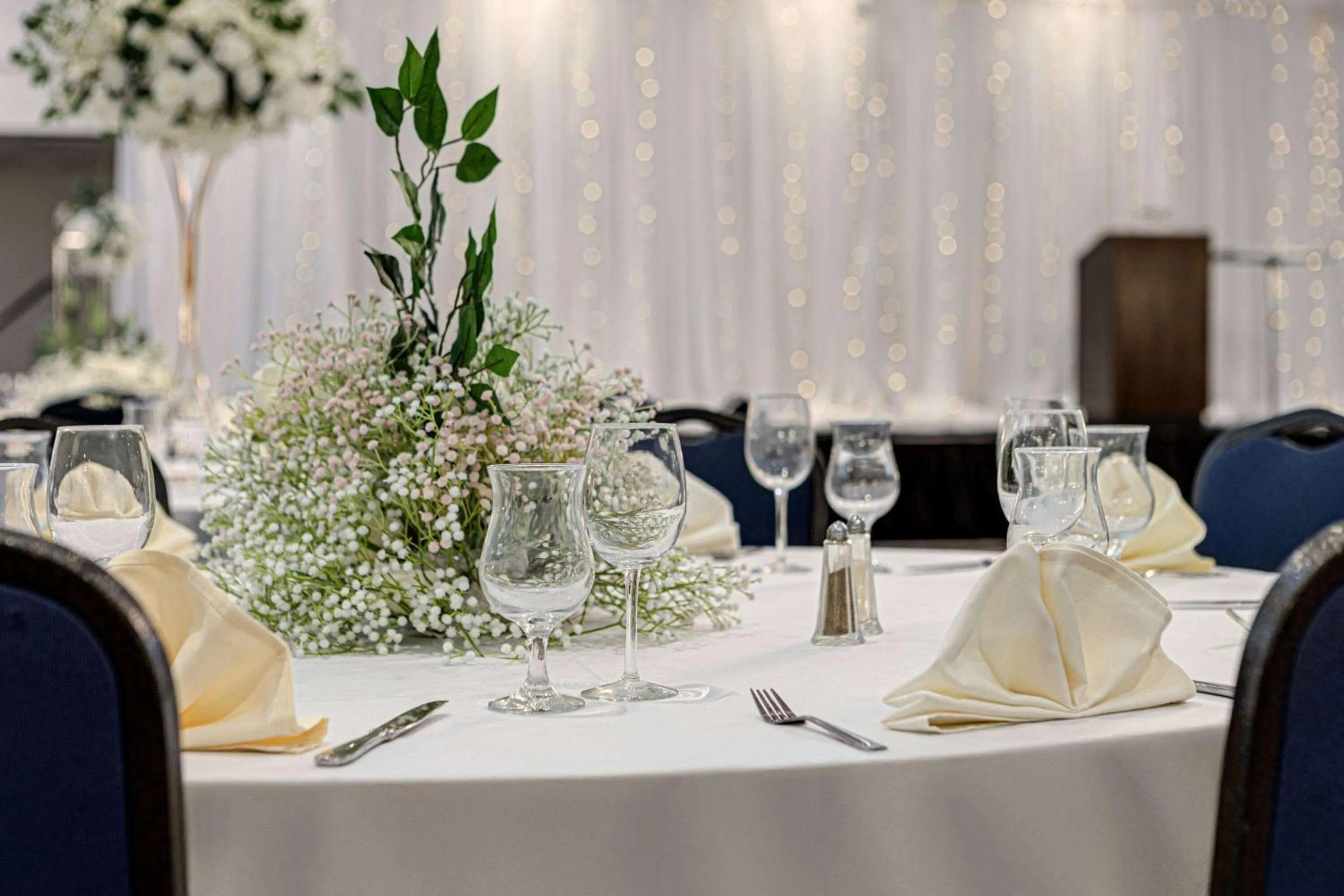 Banquet/Function facilities in Wyndham Edmonton Hotel and Conference Centre