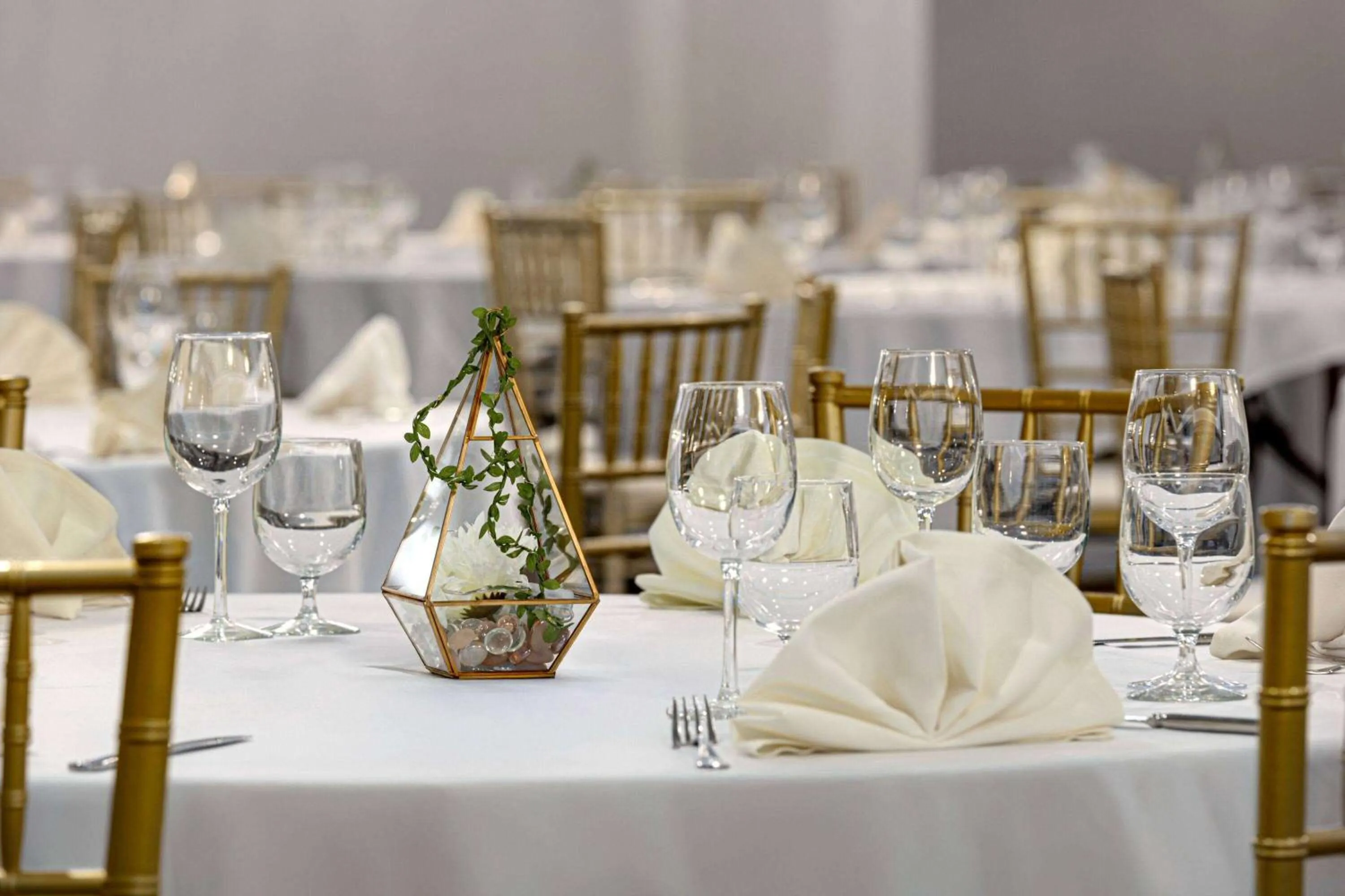 Banquet/Function facilities in Wyndham Edmonton Hotel and Conference Centre