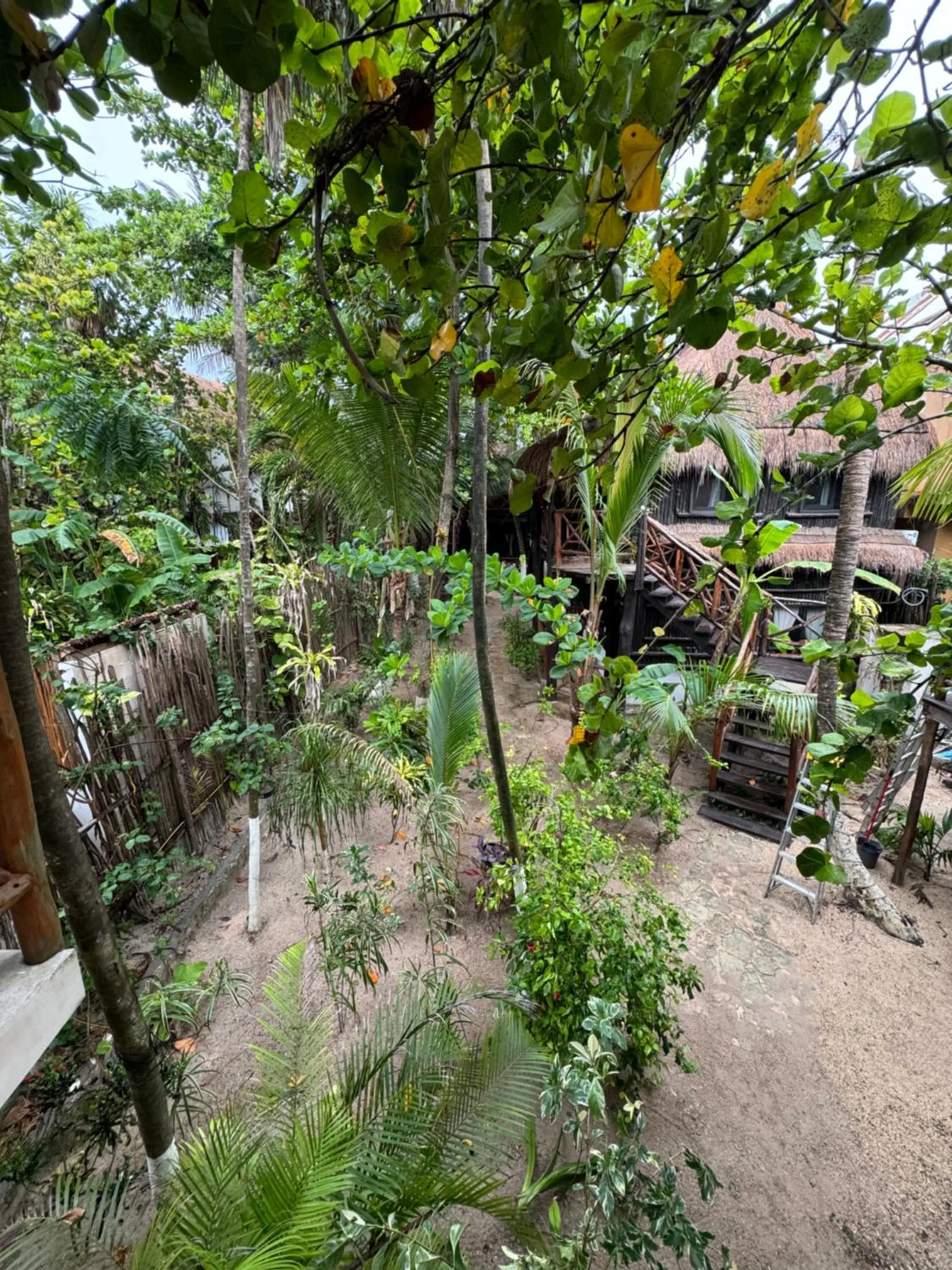 Garden view in Sivana Tulum