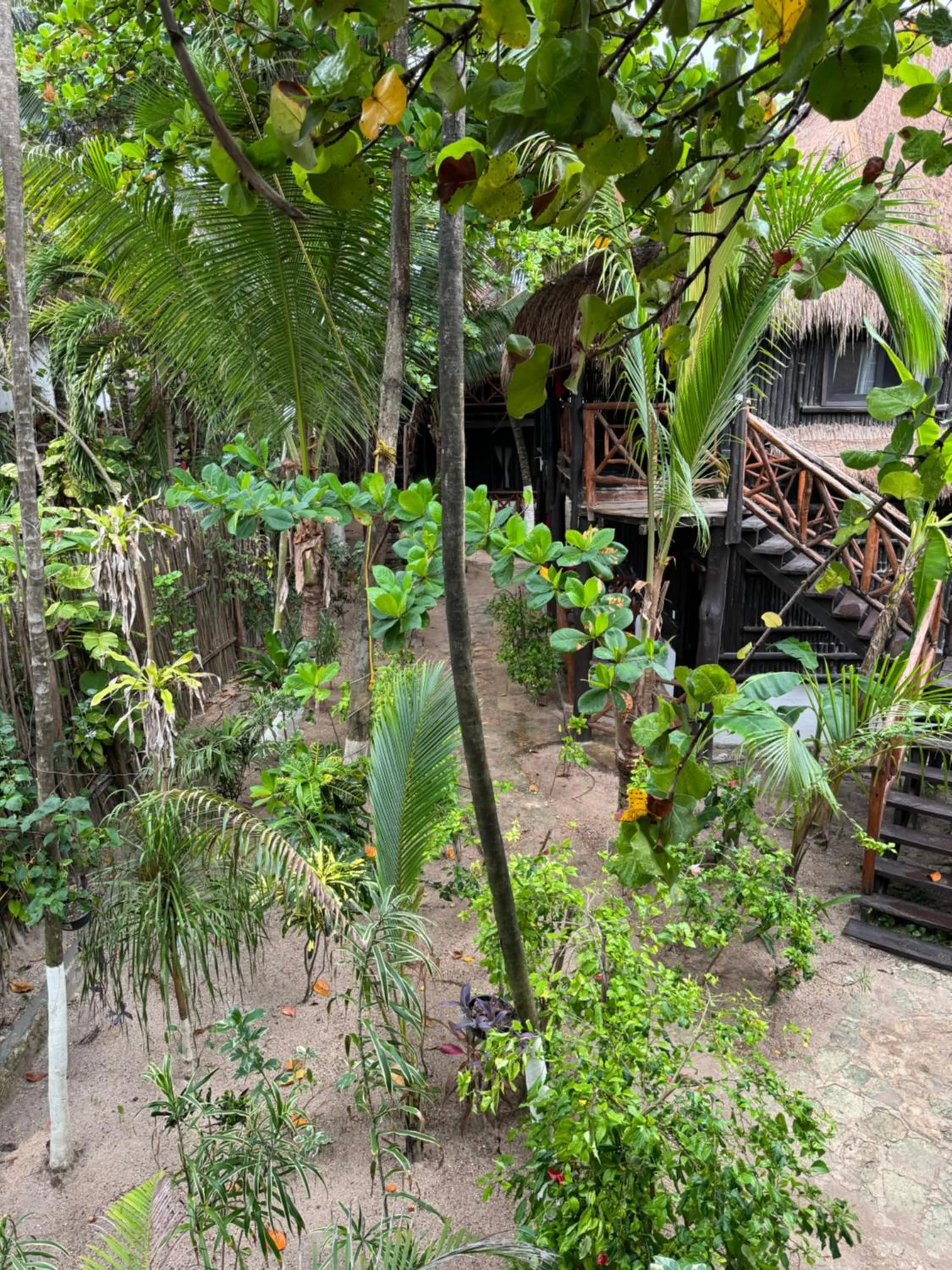 Bird's eye view in Sivana Tulum