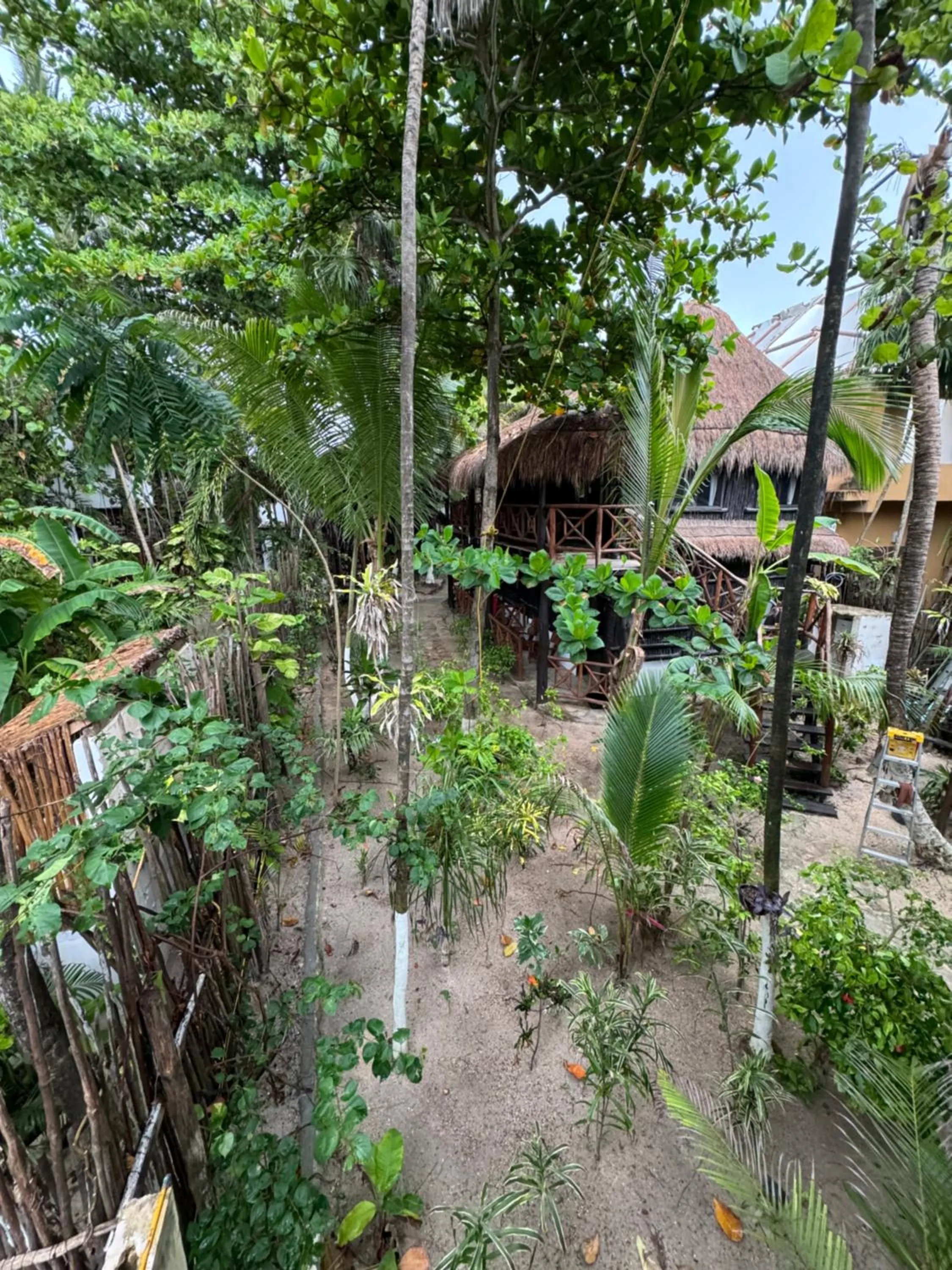 Garden view in Sivana Tulum