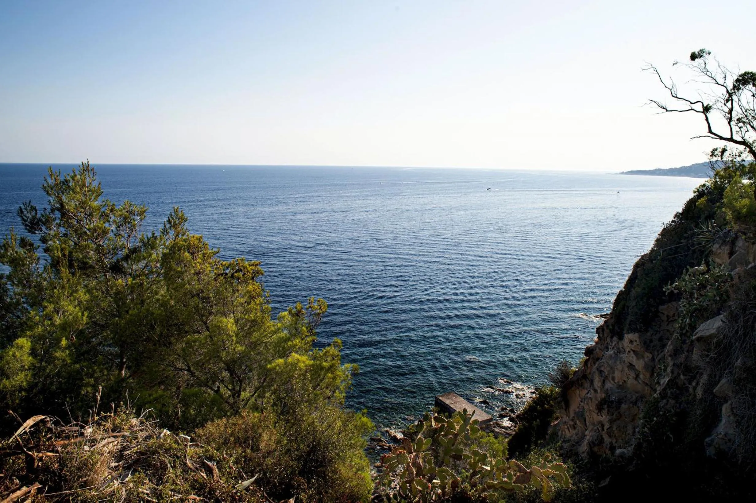 Other in Marconi 442