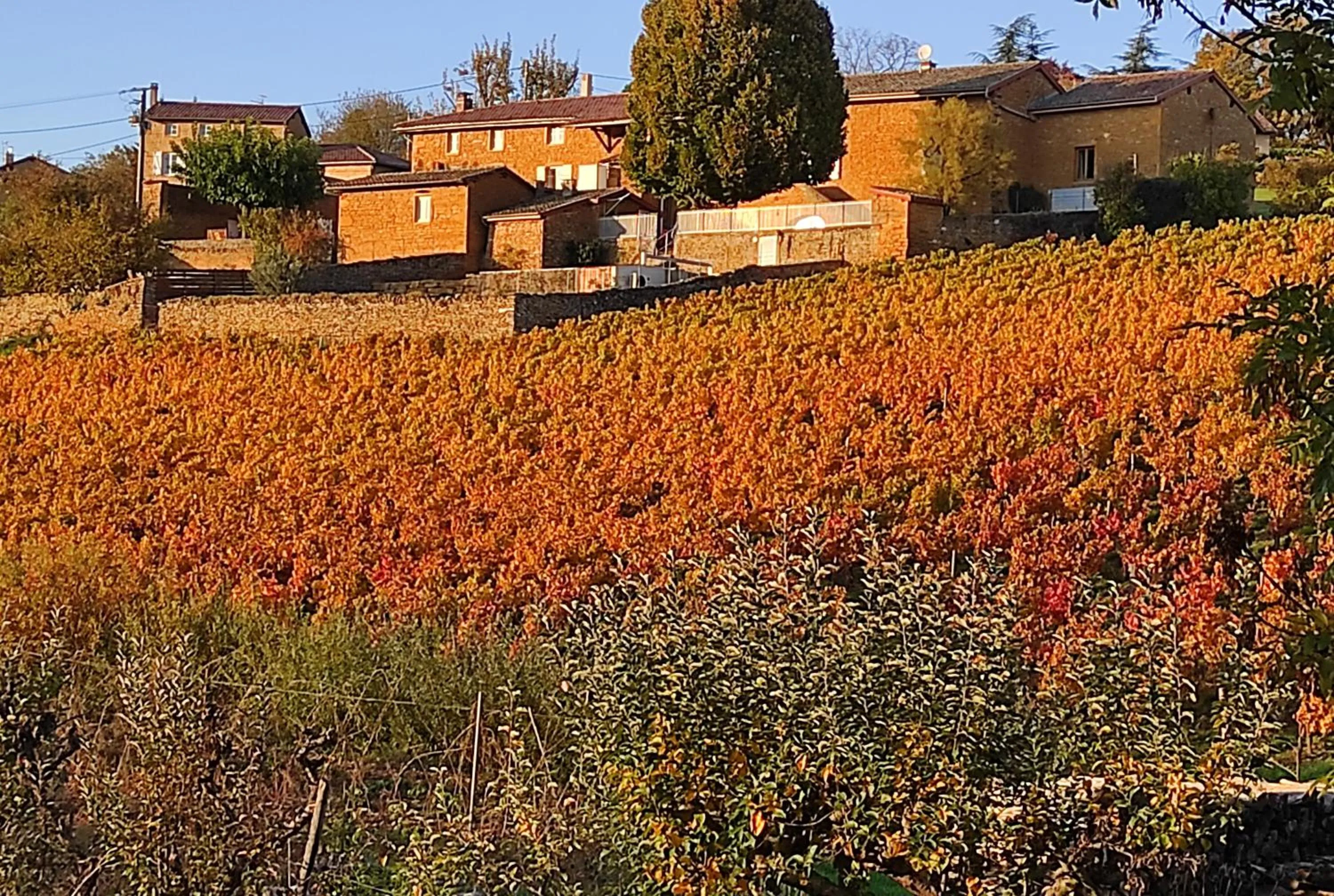 Hiking in Appartement Cogny - les Meublés des Pierres Dorées