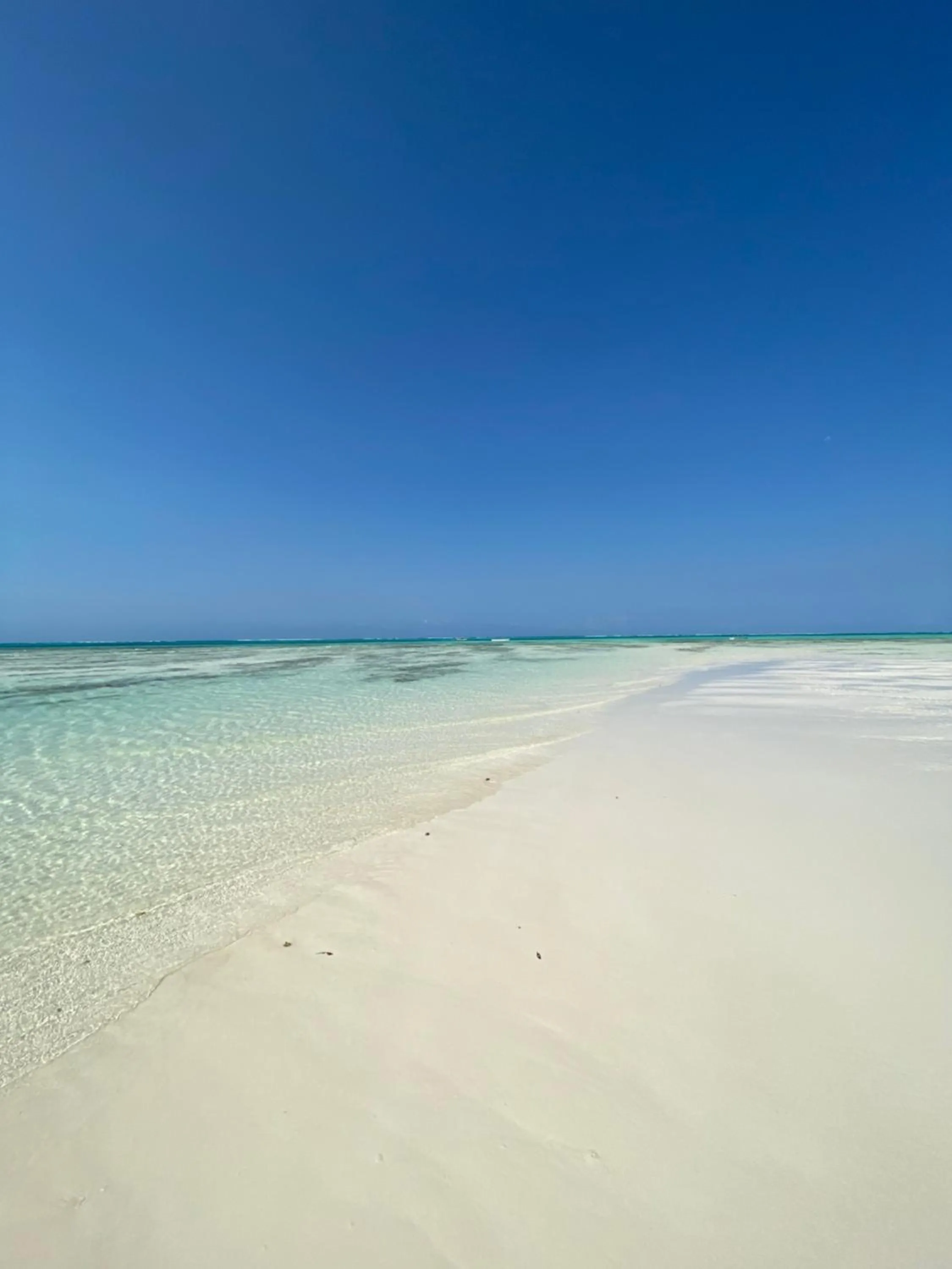 Beach in Crystal Beach Nungwi
