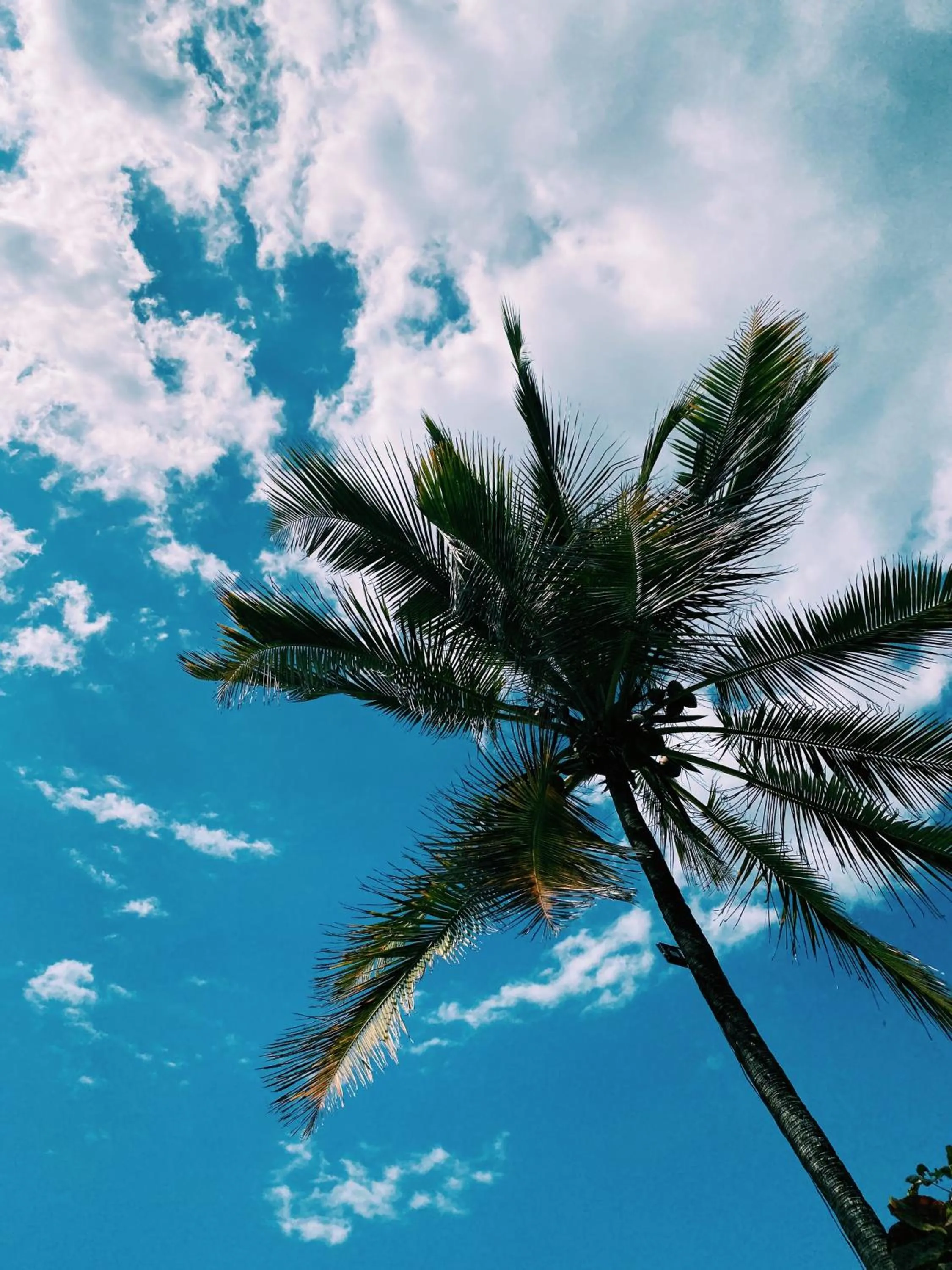 Hiking in Crystal Beach Nungwi