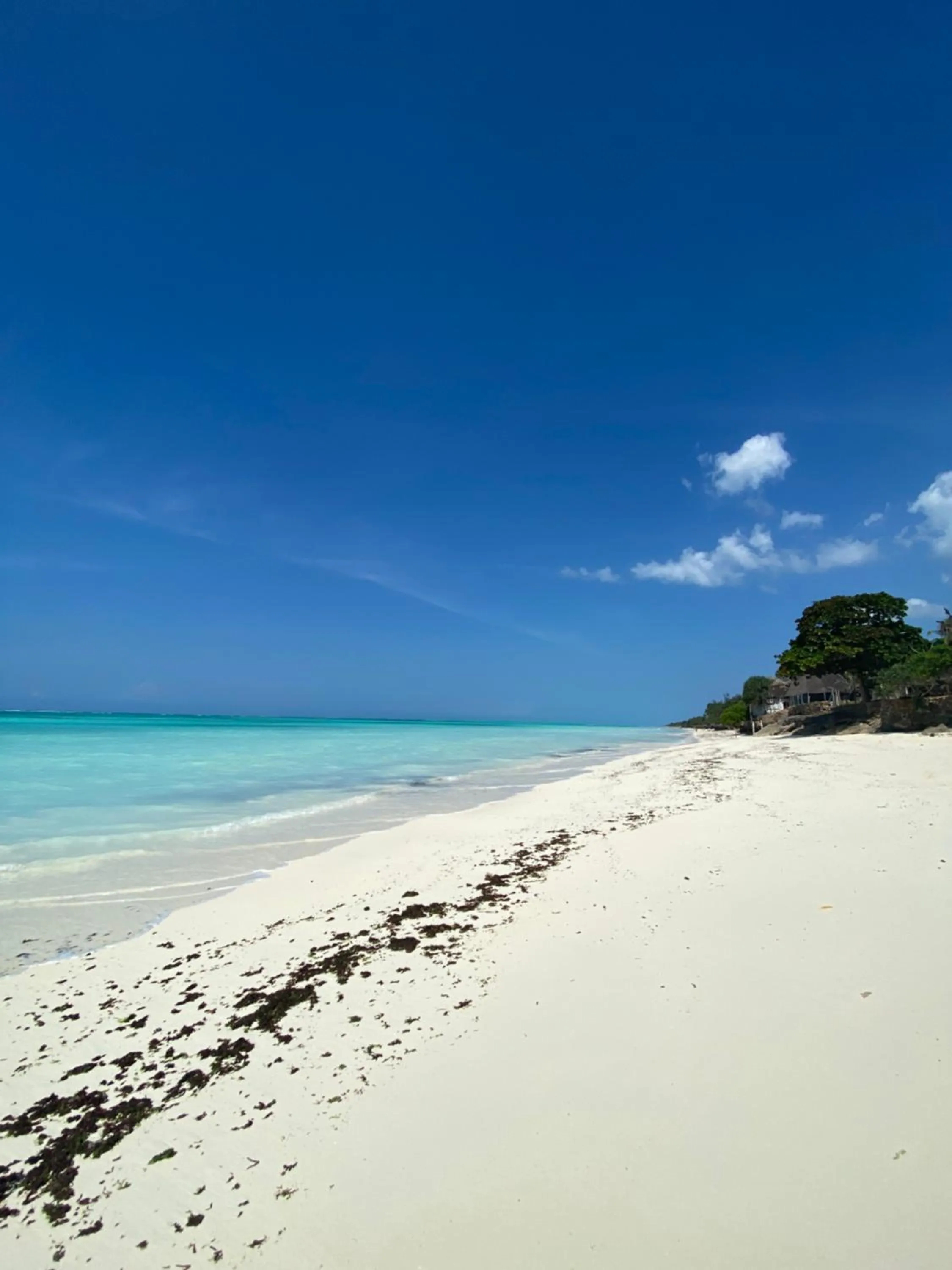 Beach in Crystal Beach Nungwi