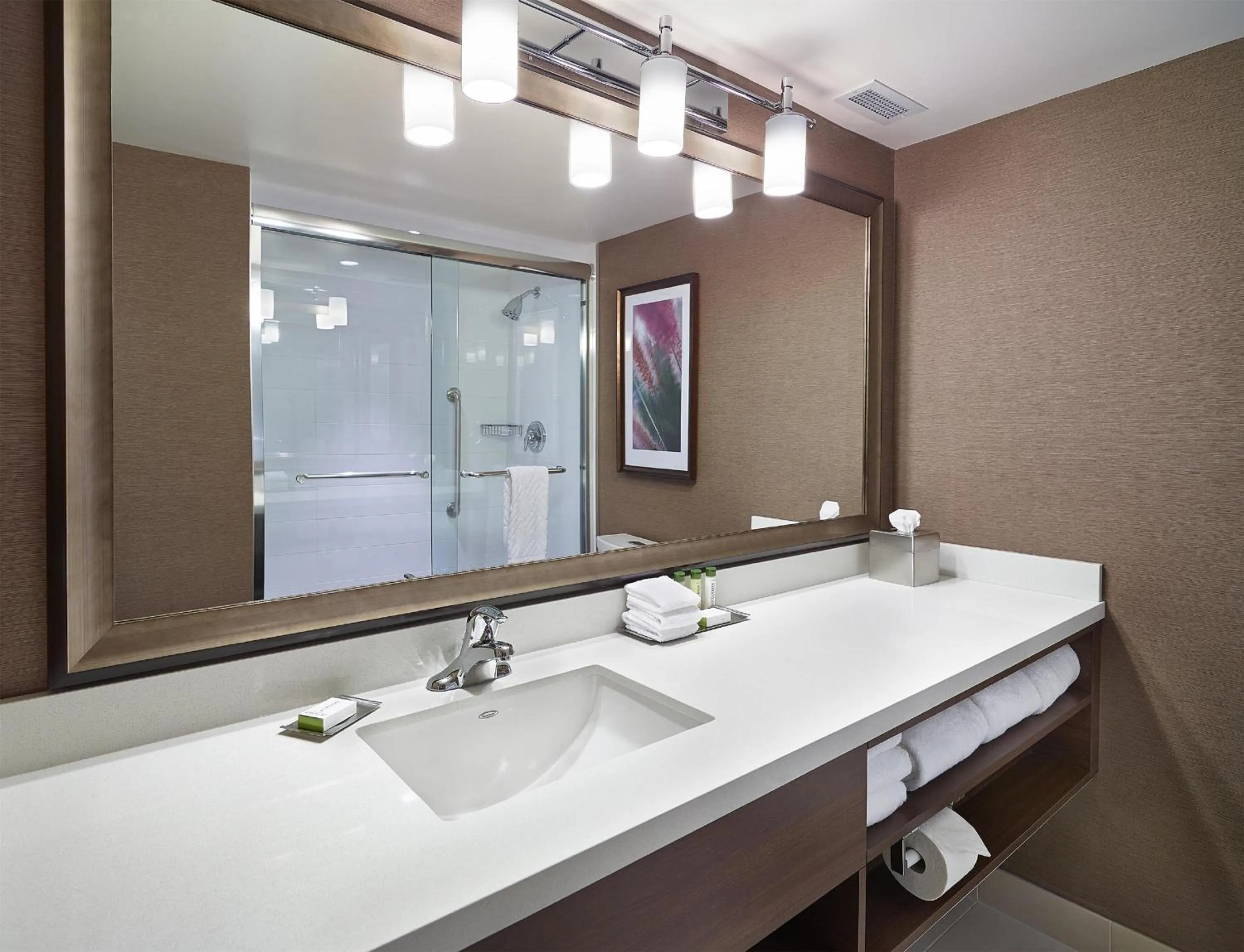 Bathroom in DoubleTree by Hilton West Edmonton