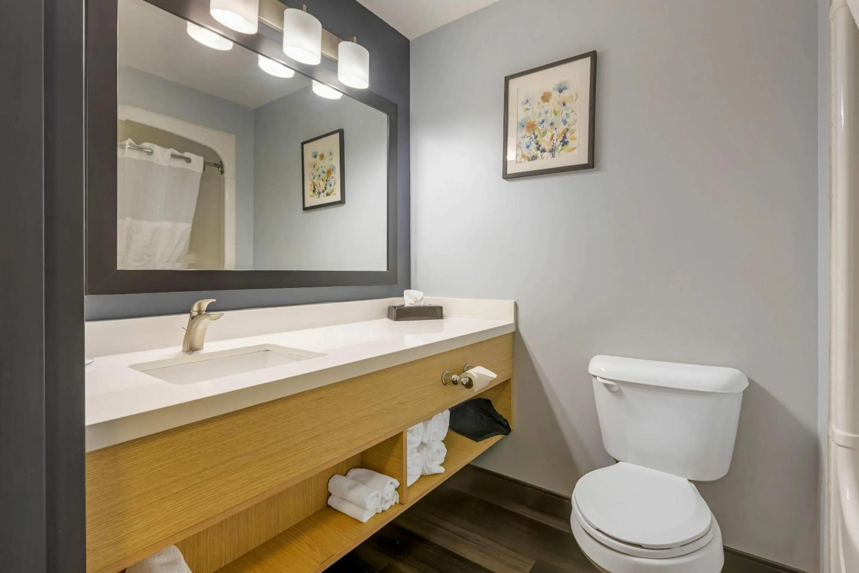 Bedroom in Quality Inn & Suites