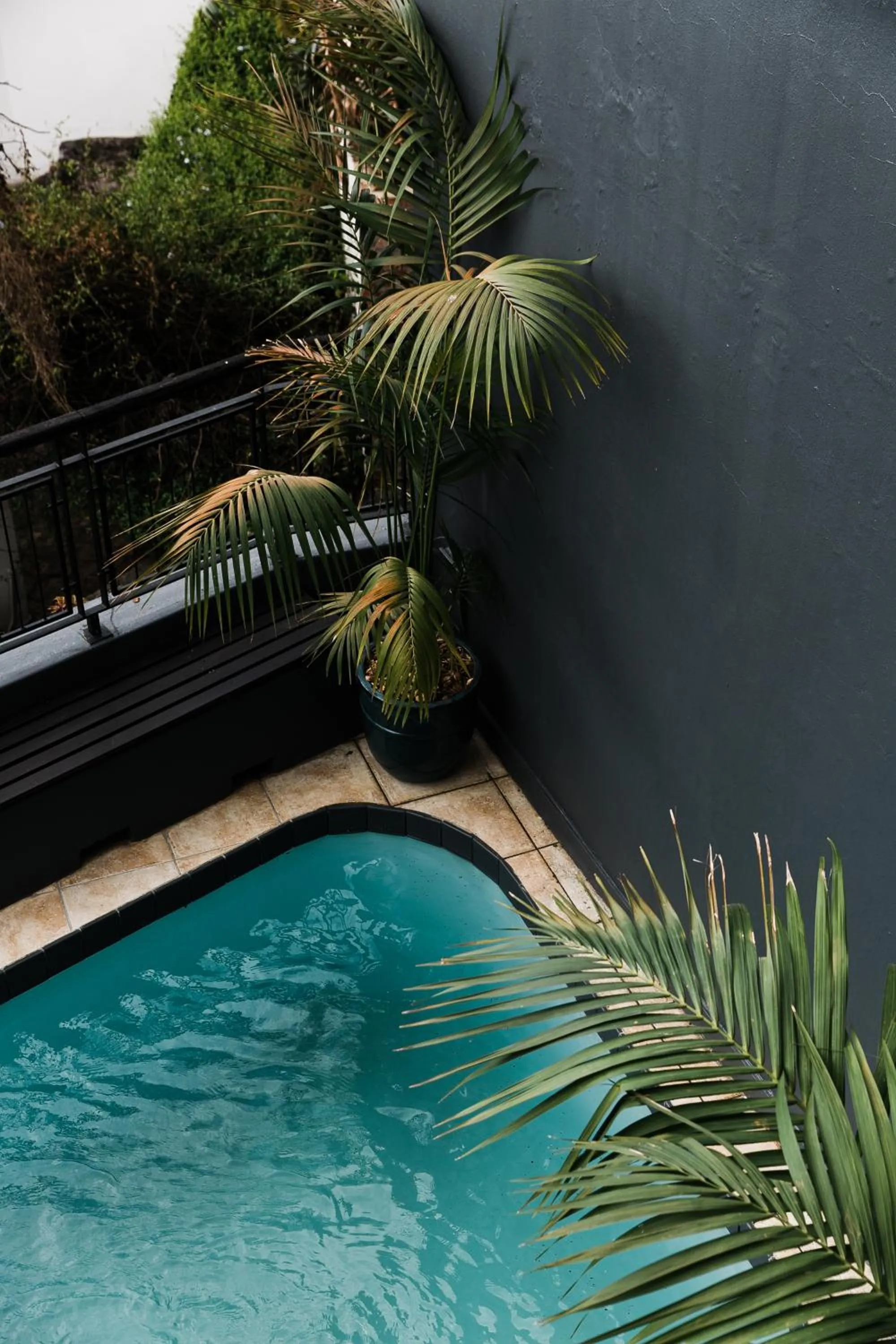 Swimming pool in Royal Boutique Hotel