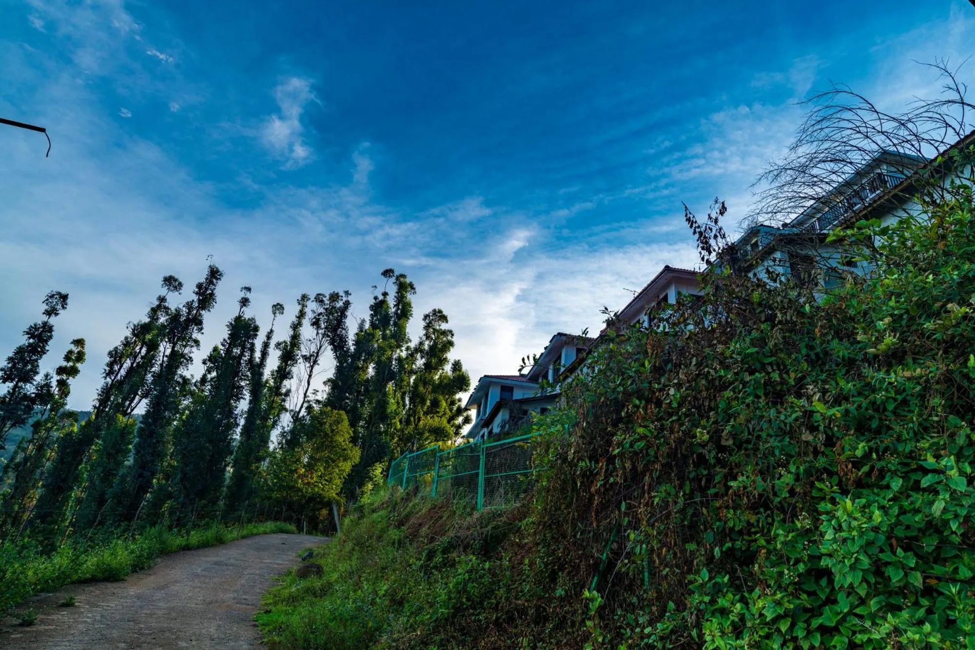 Natural landscape in Warmth Hill Crest