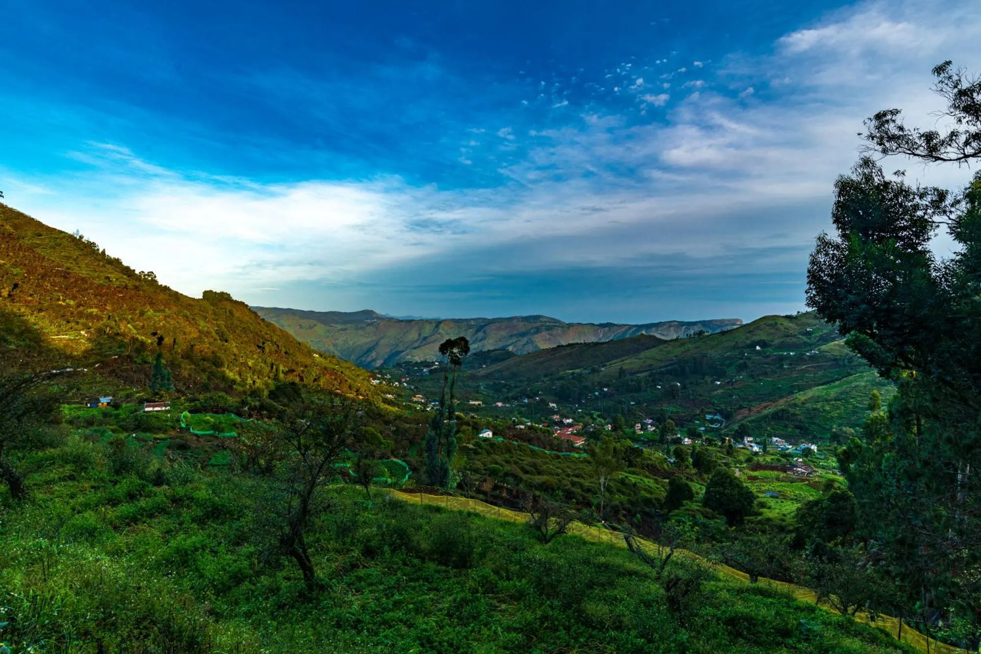 Natural landscape in Warmth Hill Crest
