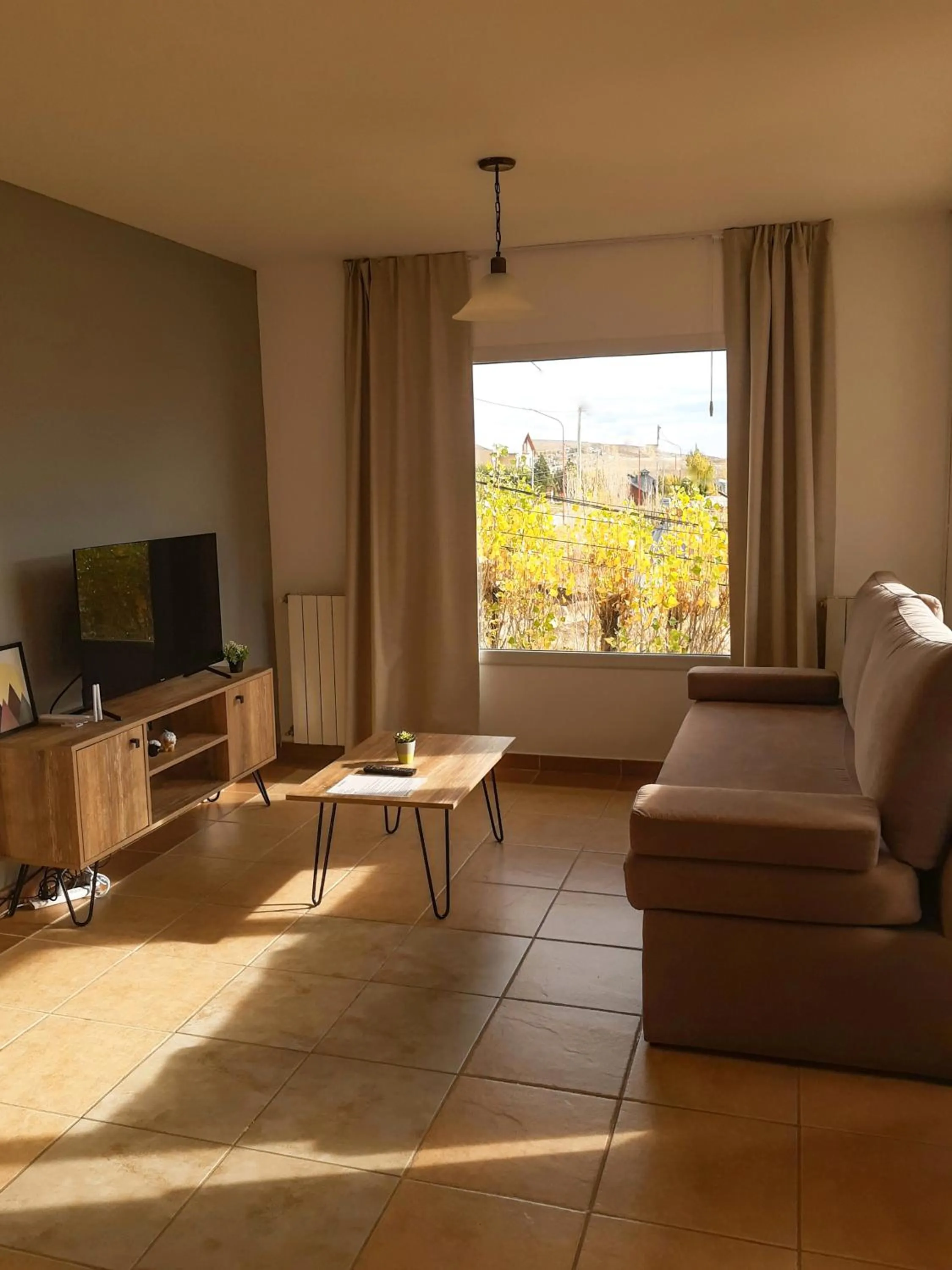 Living room in South Apartments