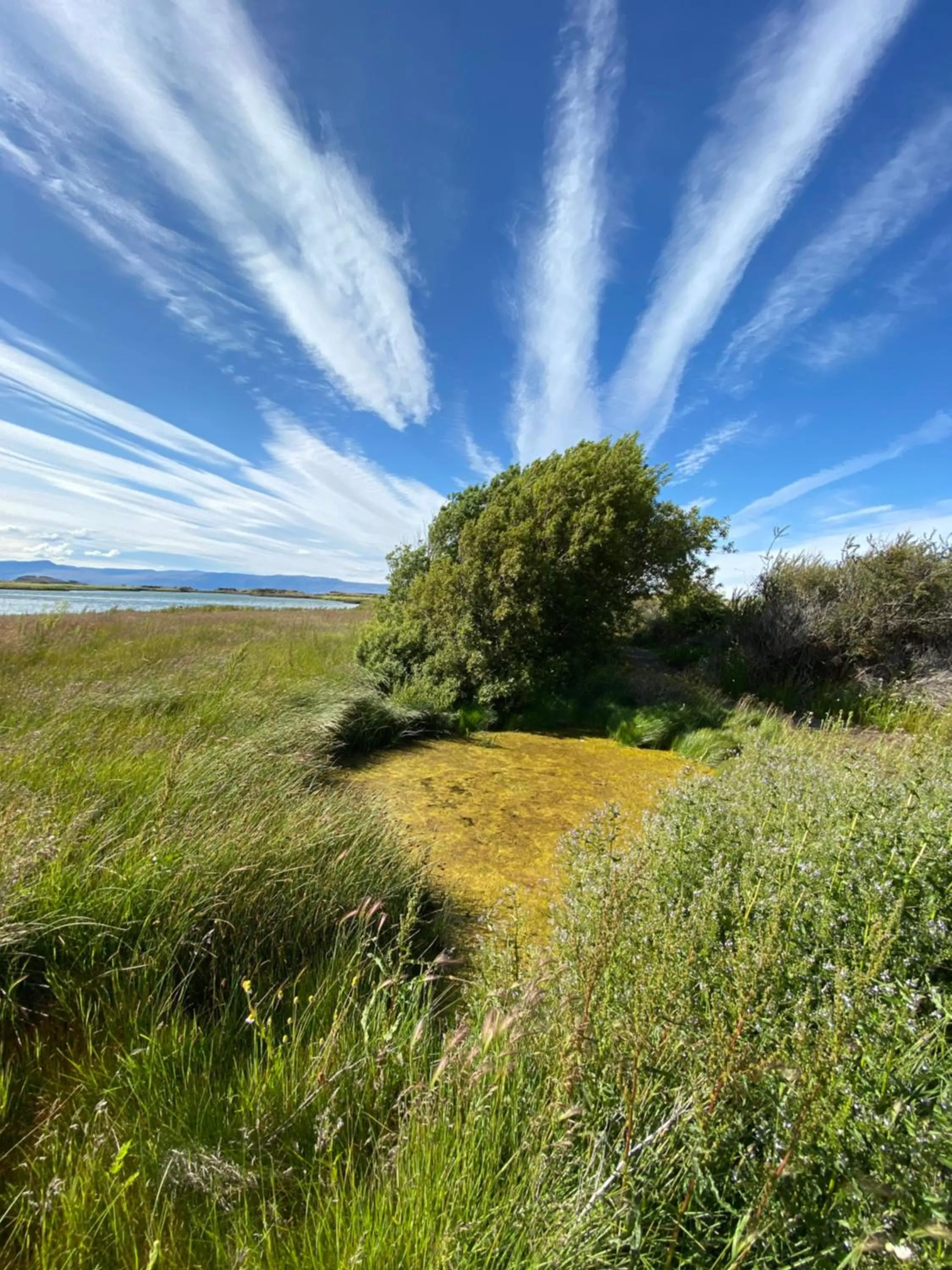 Natural landscape in South Apartments