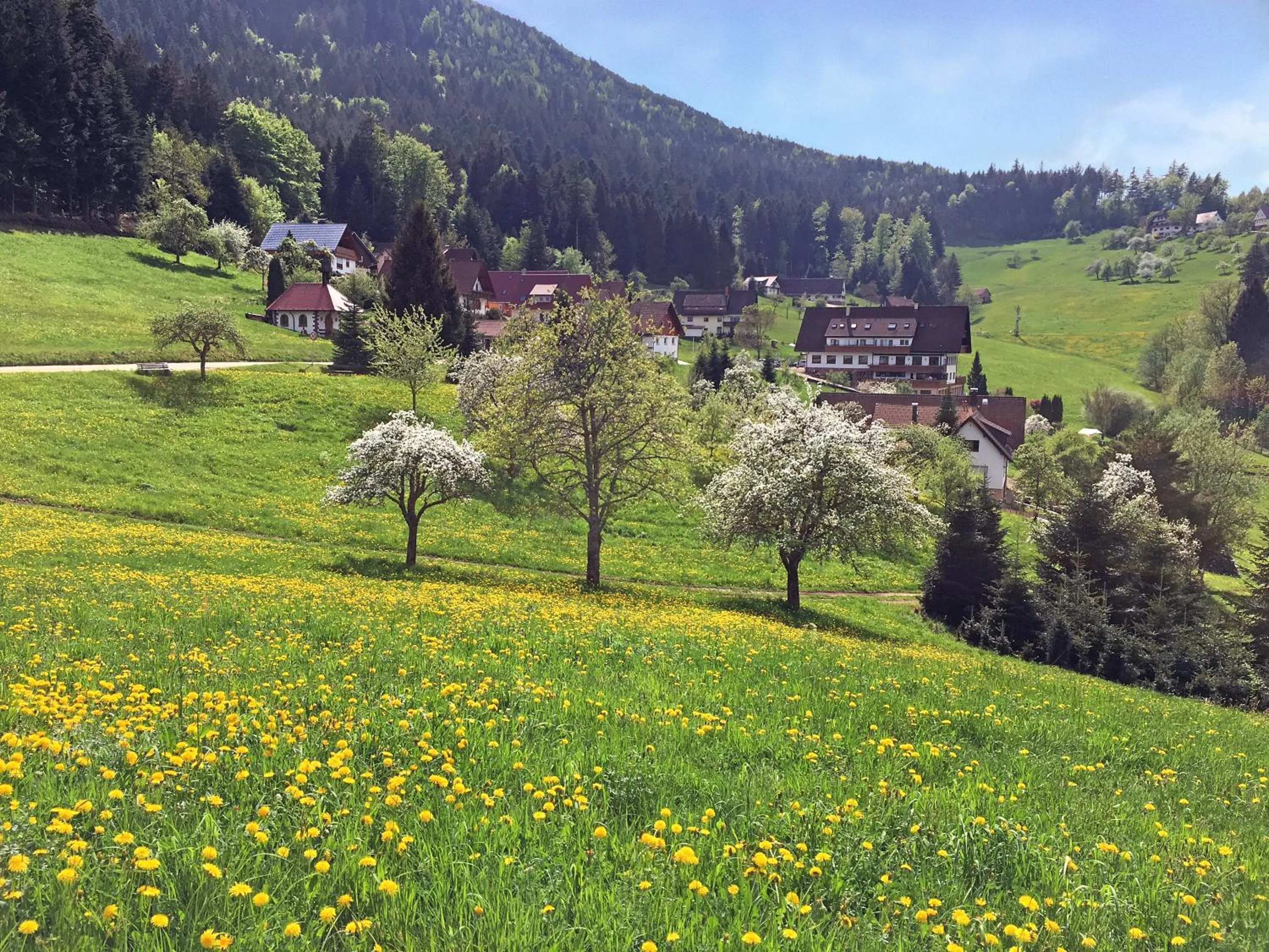 Property building in Höhenhotel & Restaurant Kalikutt