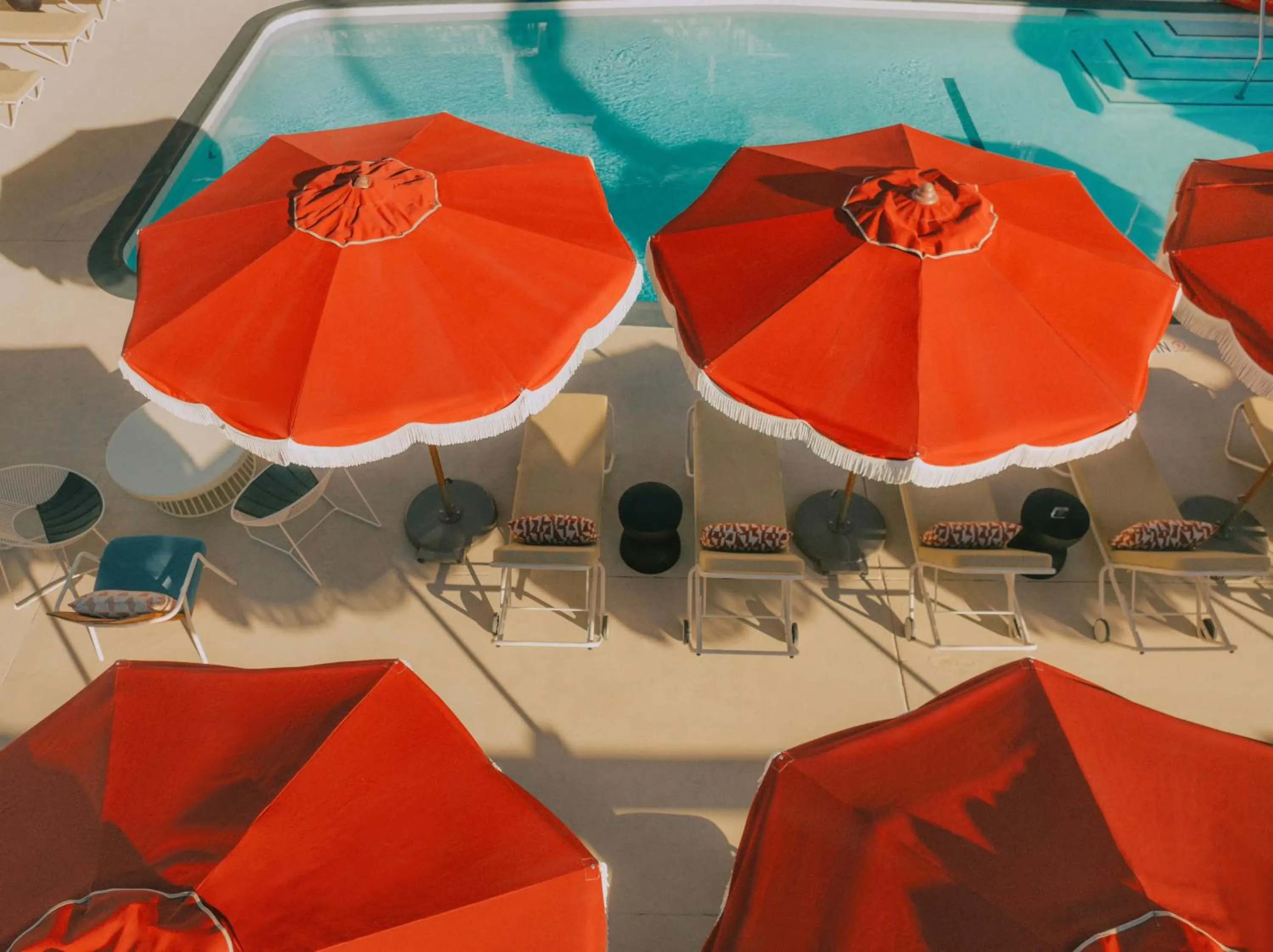 Swimming pool in Life House, Palm Springs