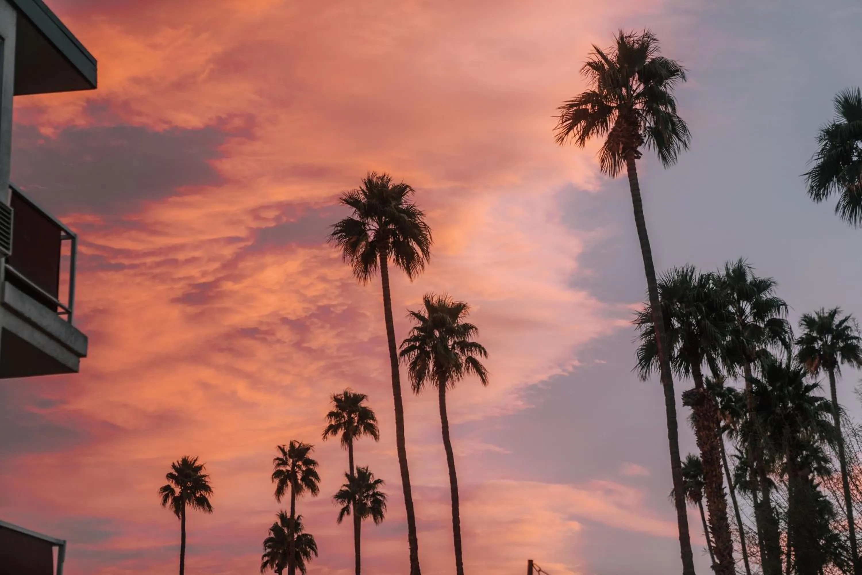 Day in Royal Sun Palm Springs