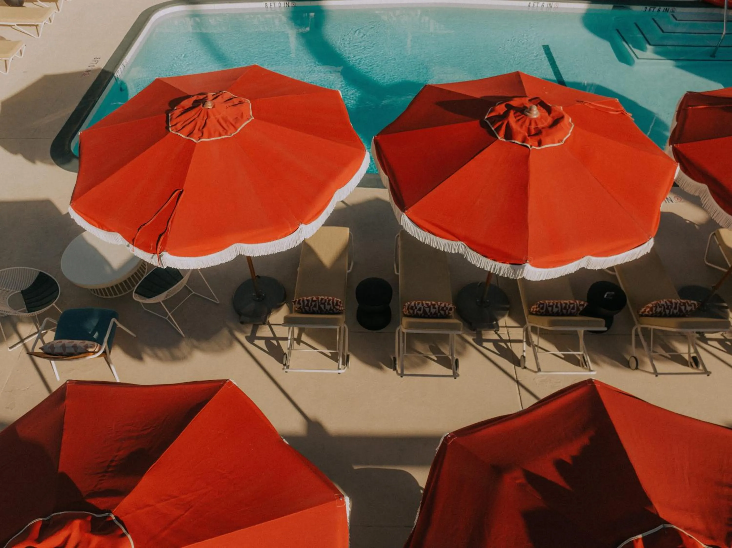 Swimming pool in Life House, Palm Springs