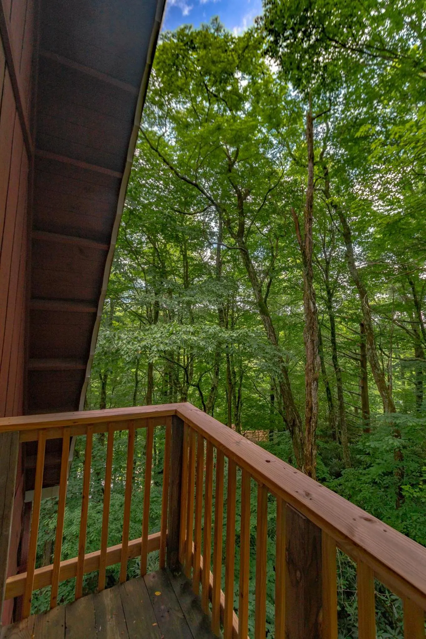 Swiss Mountain Village