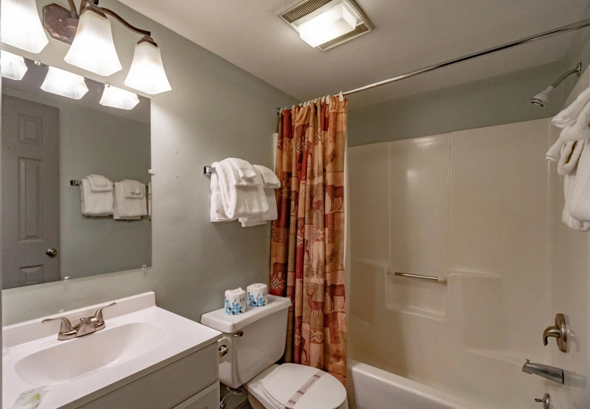 Swiss Mountain Village