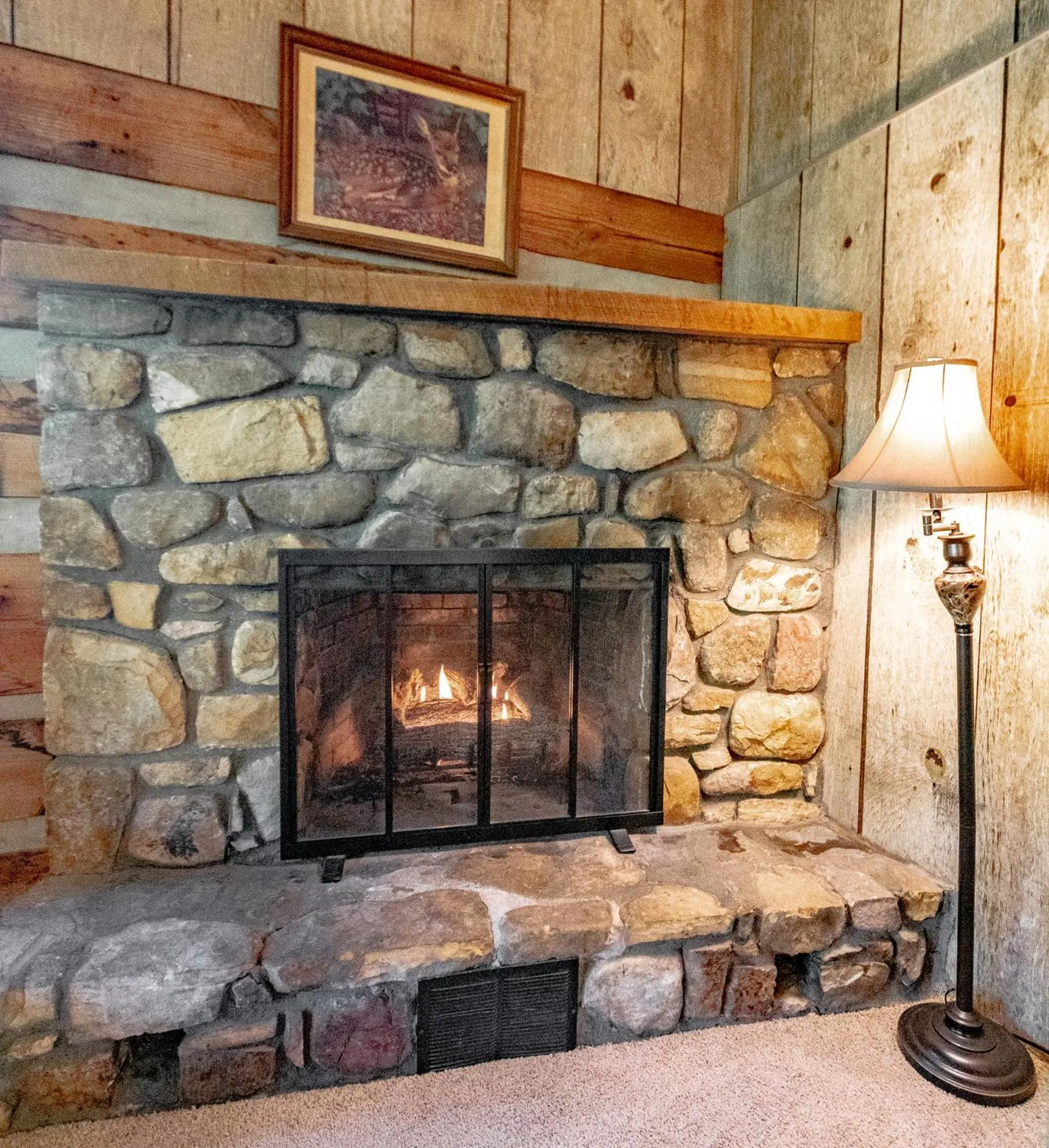 Swiss Mountain Village