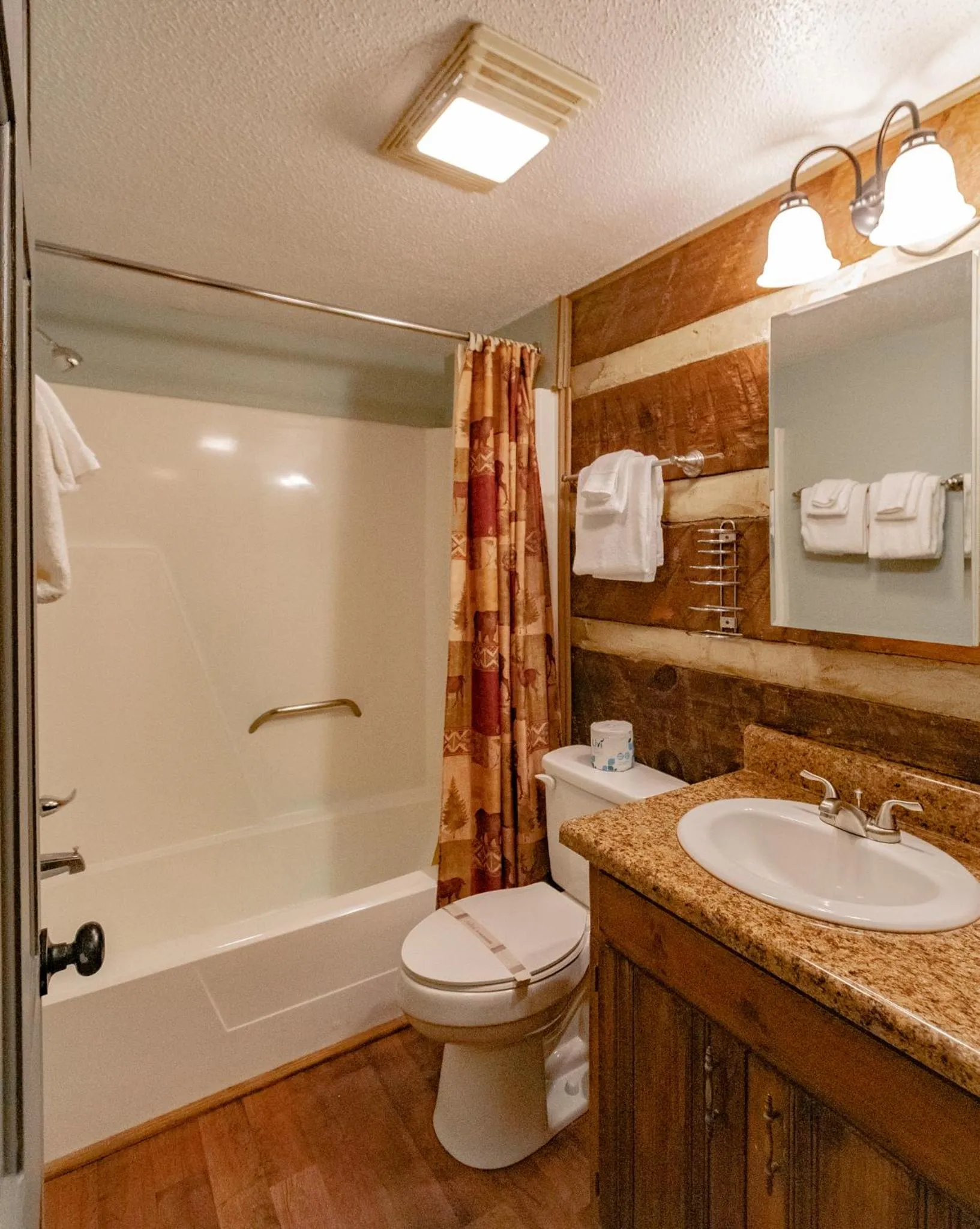 Bathroom in Swiss Mountain Village