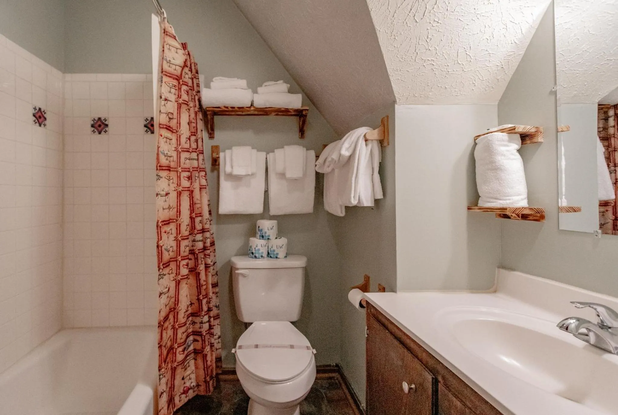 Swiss Mountain Village