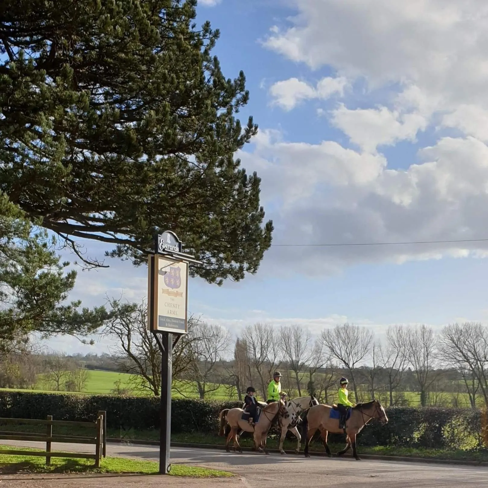Garden in The Cheney Arms